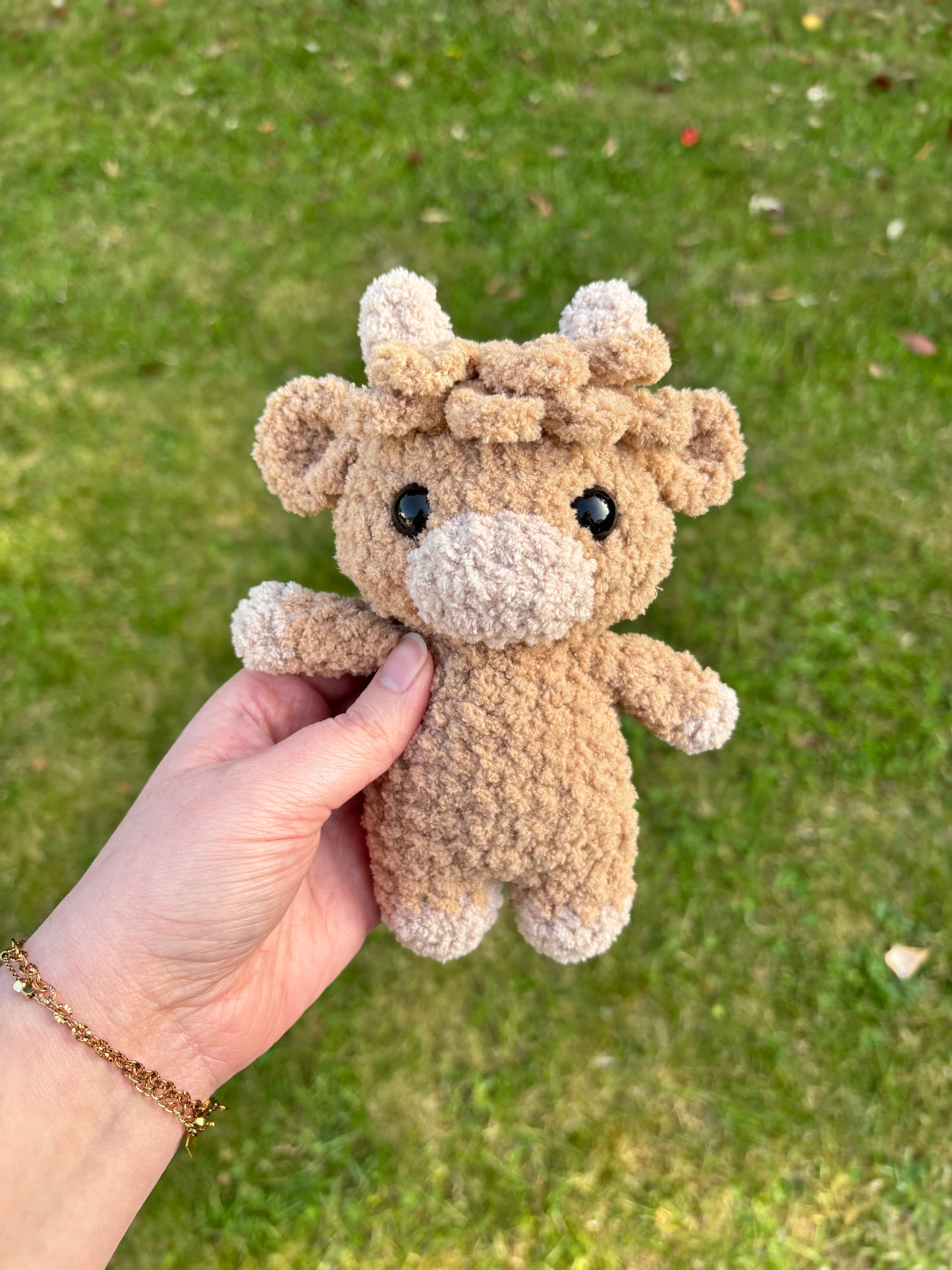 Petite vache highland fluffy