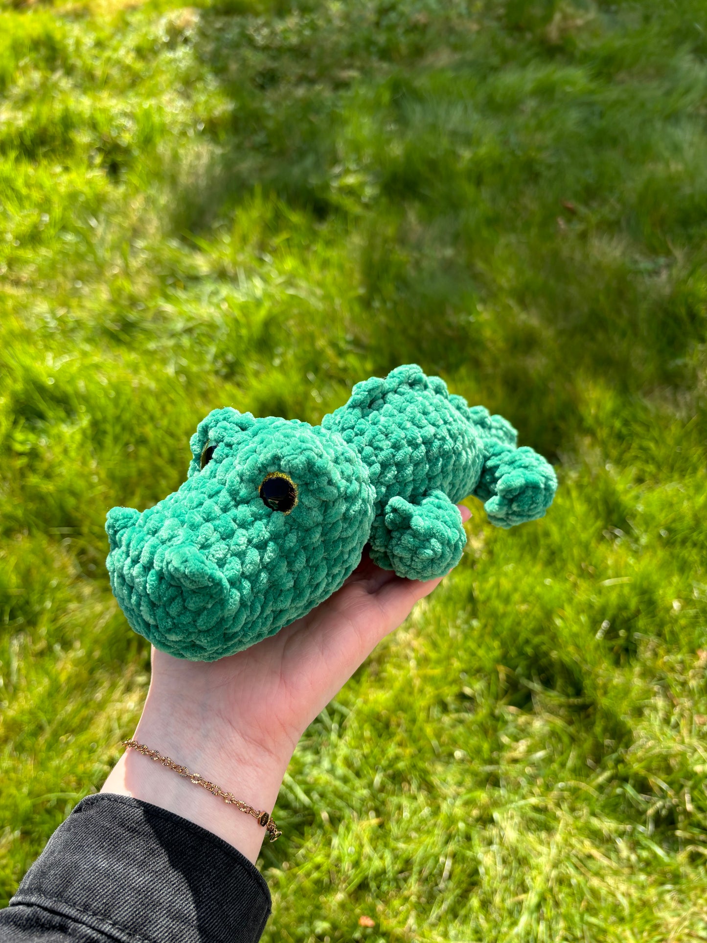 Crocodile