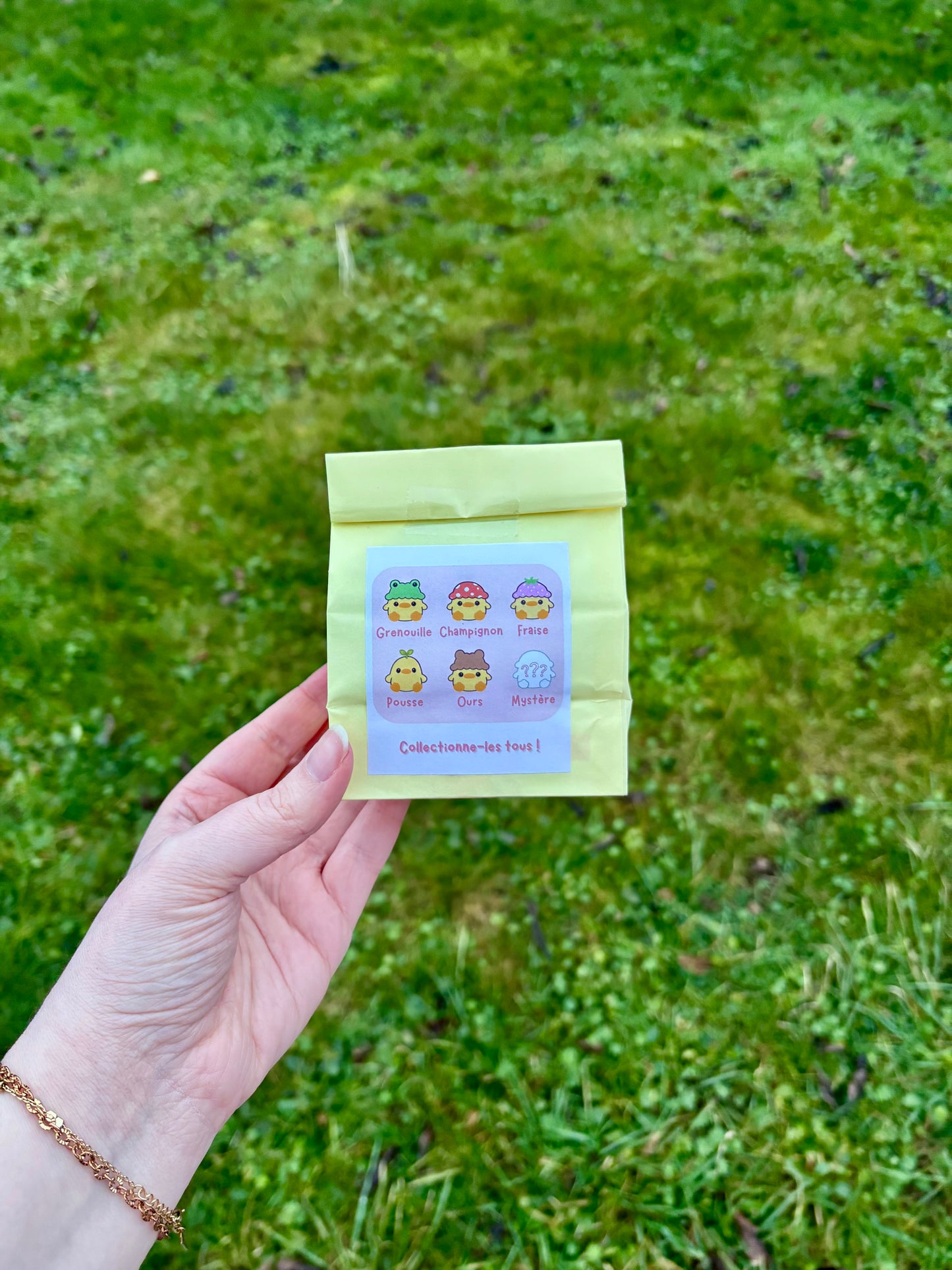 ❓sachet mystère ❓