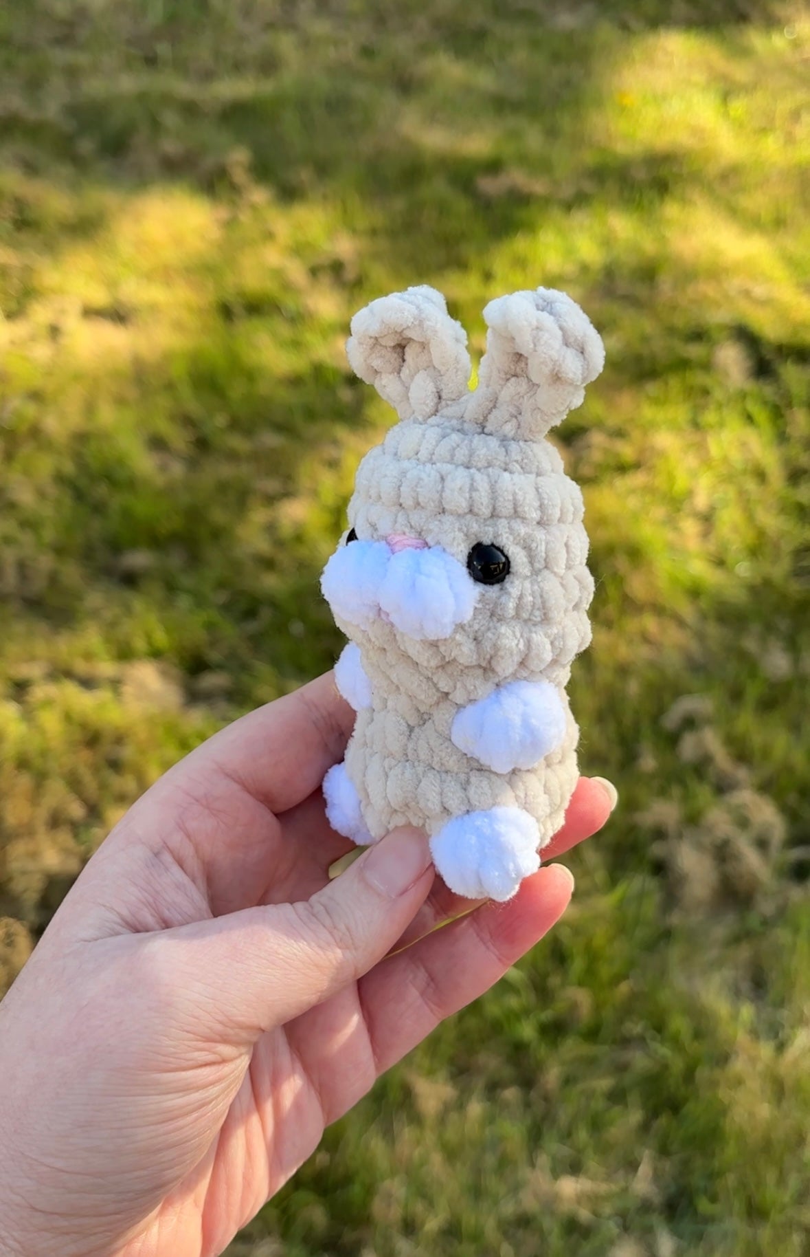Lapin dans sa carotte 🥕