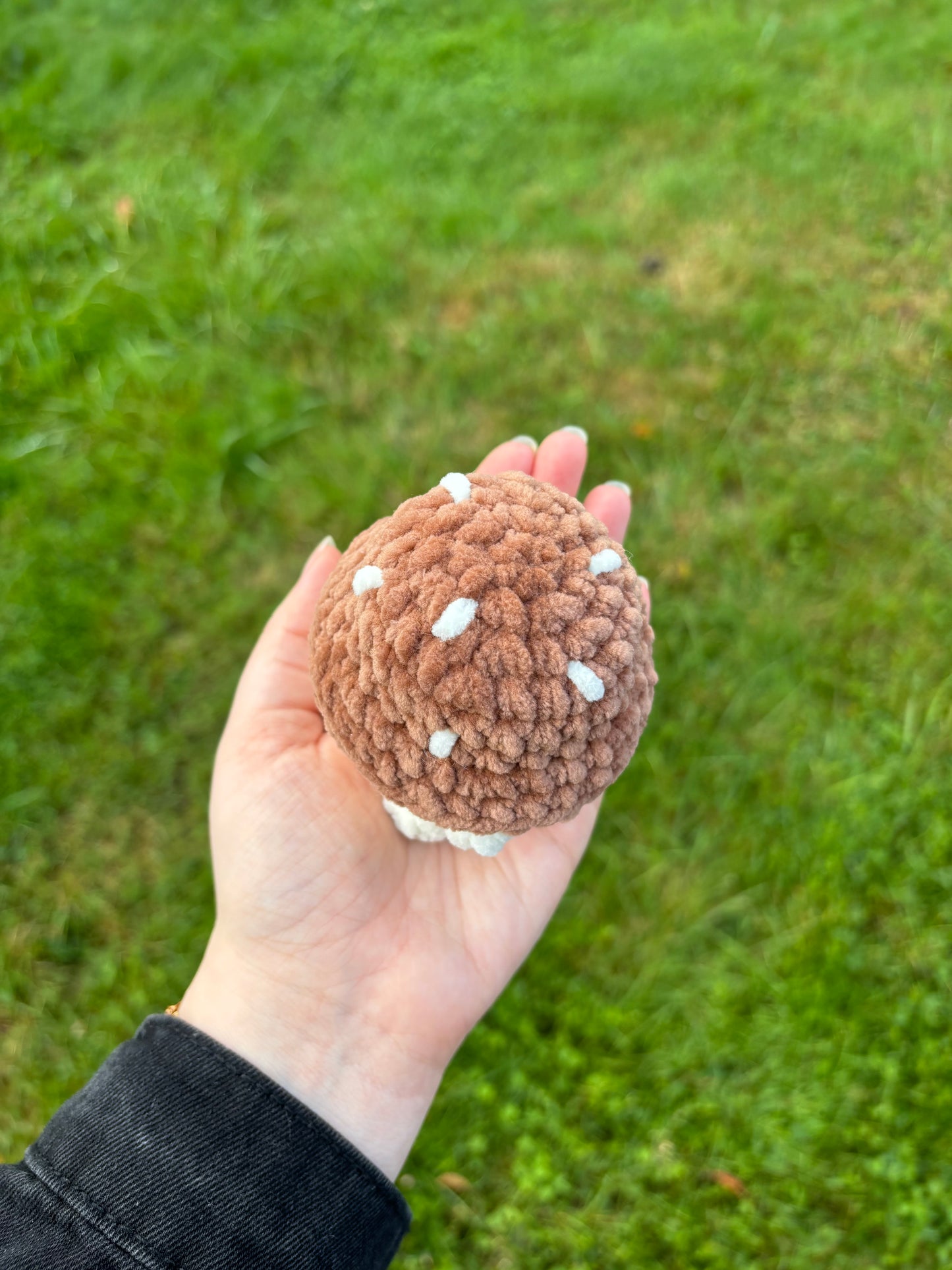 Champimignon d’automne 🍄🟫