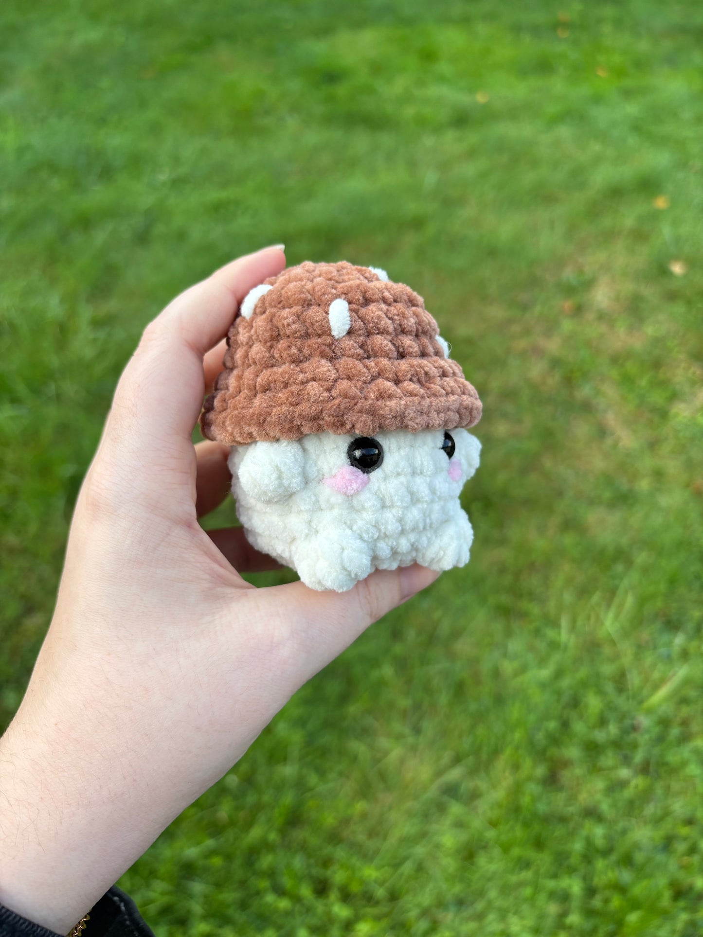 Champimignon d’automne 🍄🟫