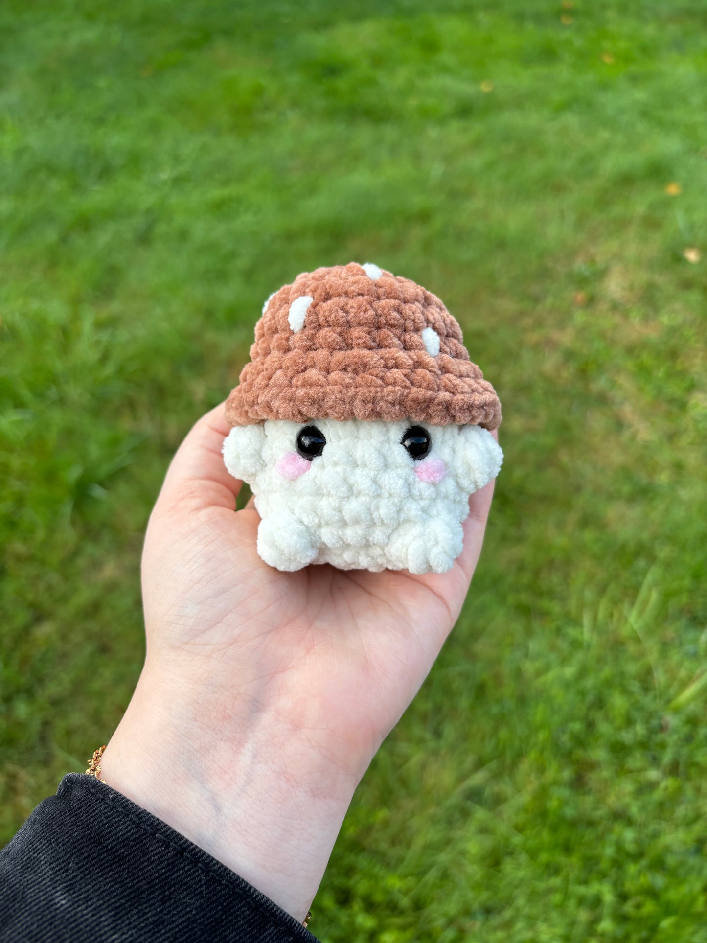 Champimignon d’automne 🍄🟫