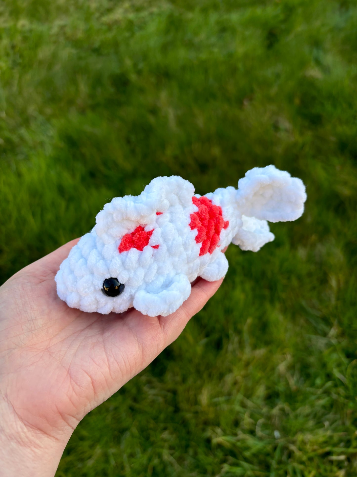 Mini carpe koï
