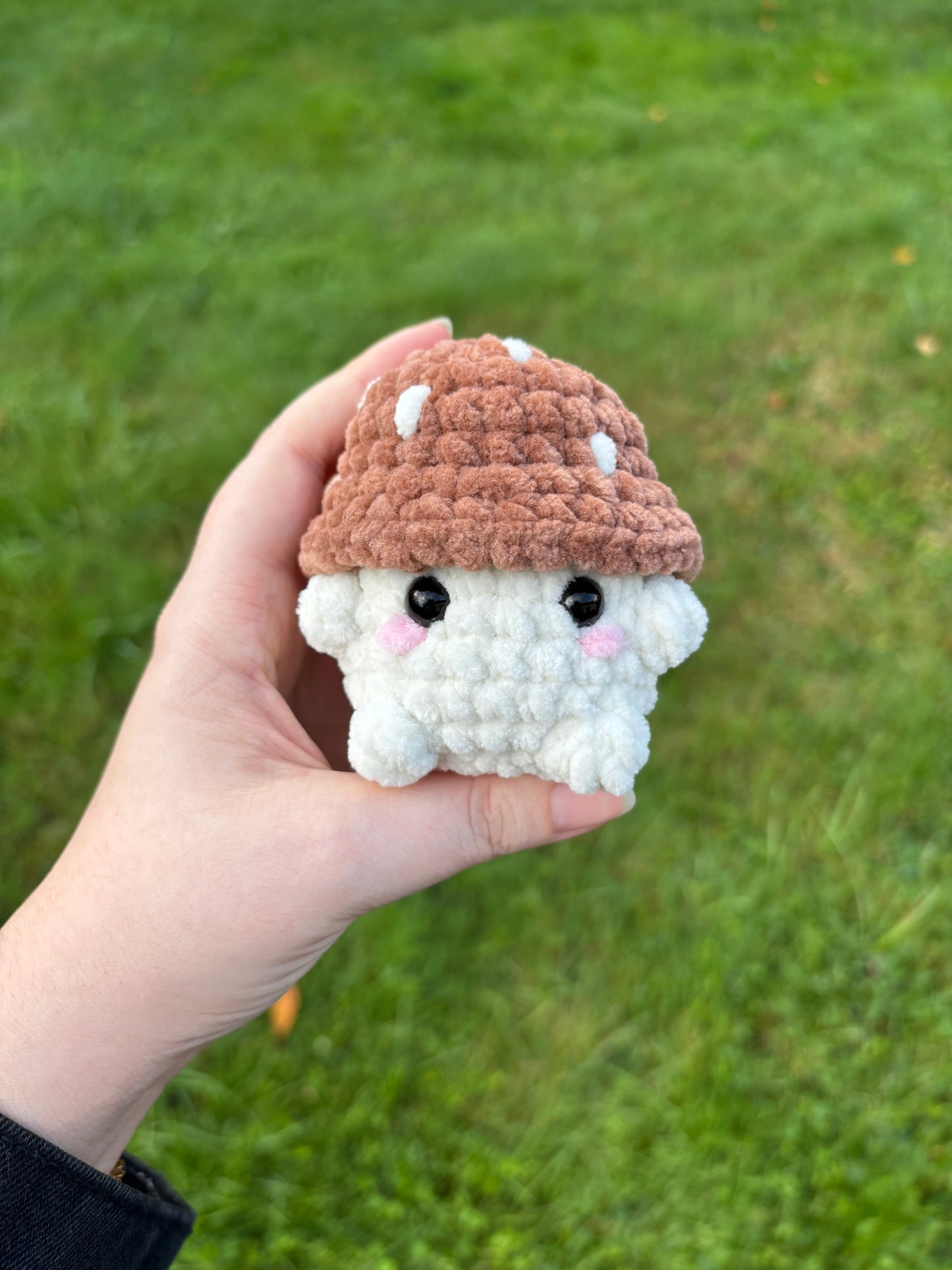 Champimignon d’automne 🍄🟫
