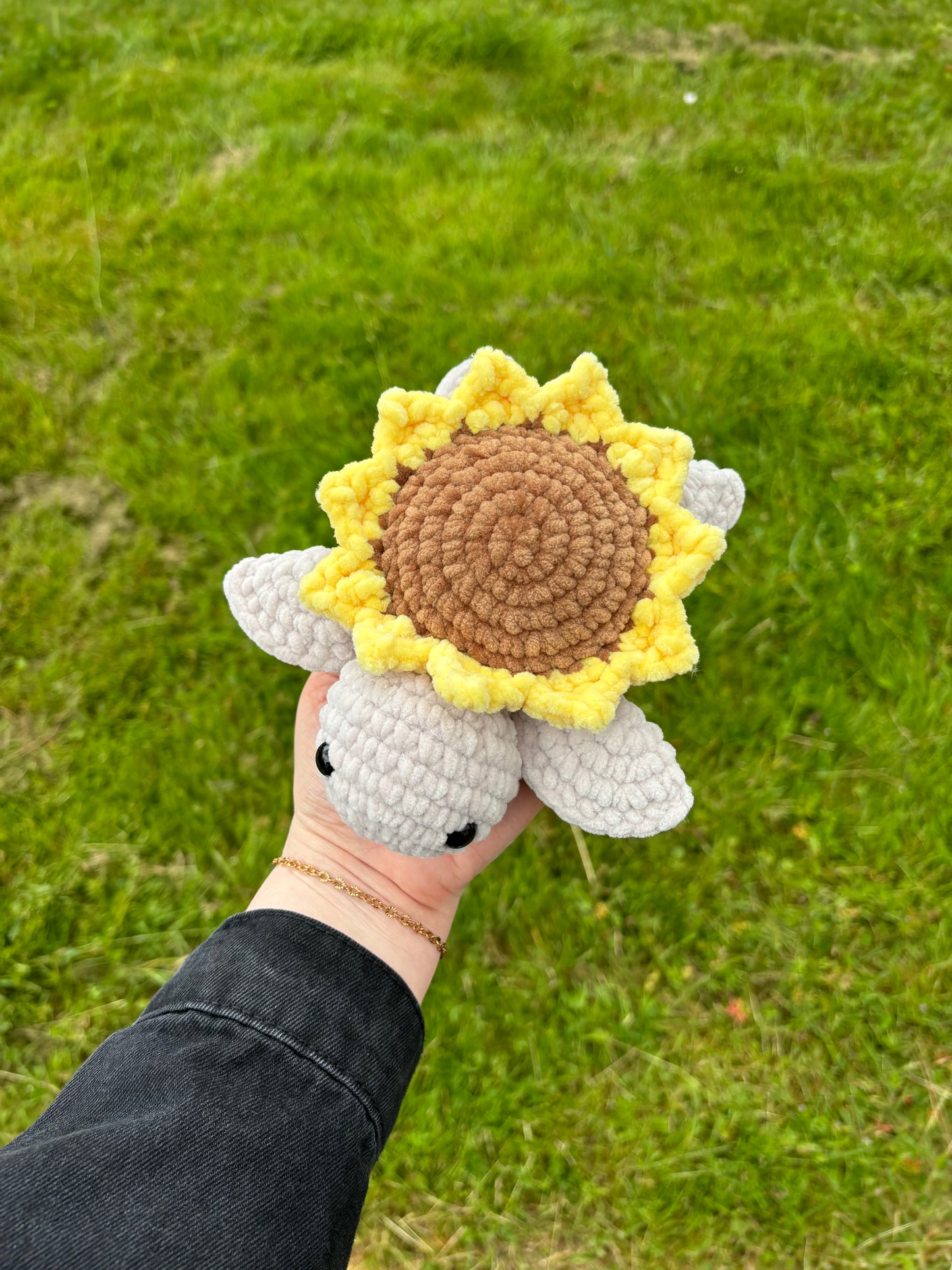 Tortue tournesol🌻