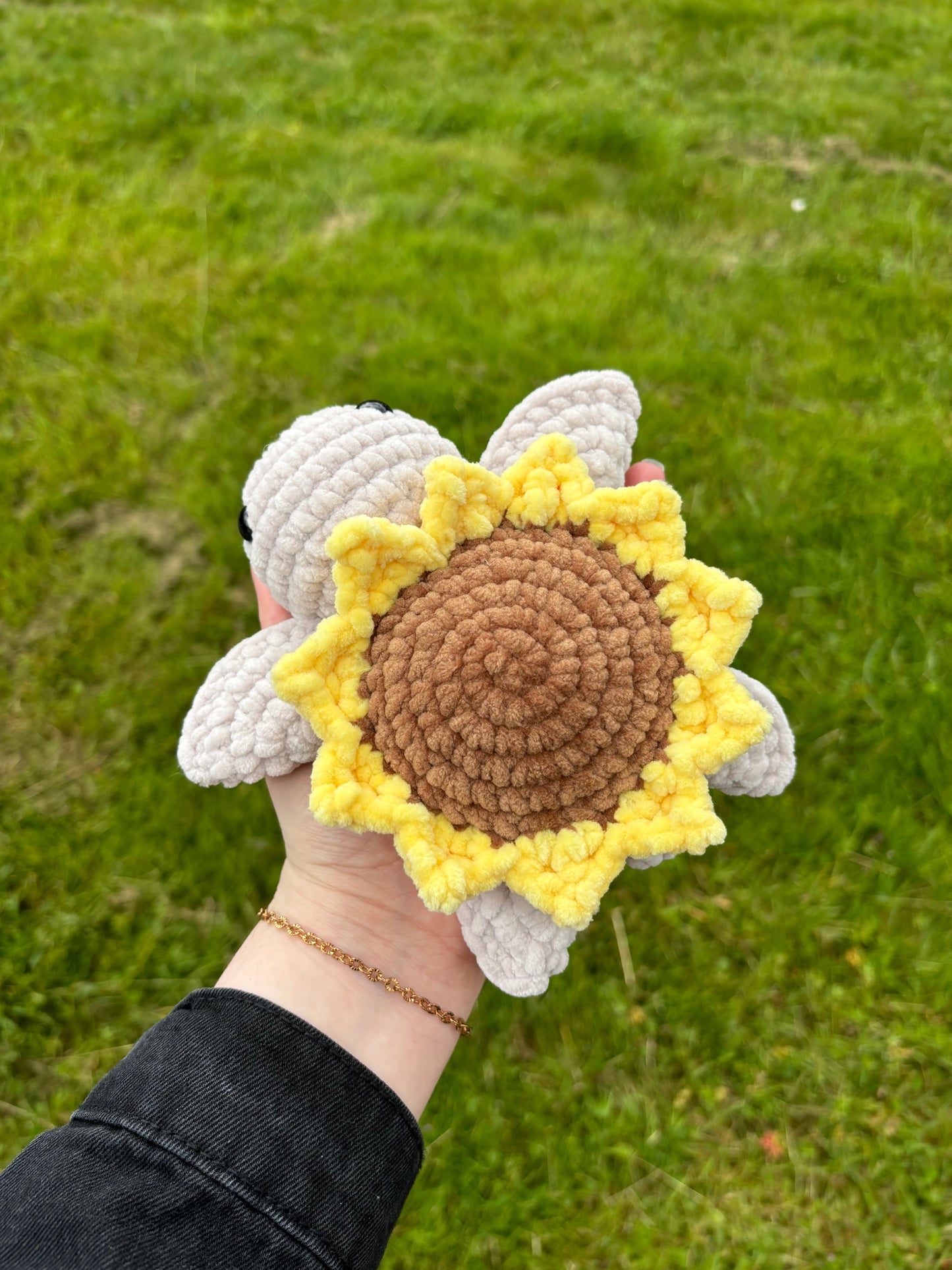 Tortue tournesol🌻