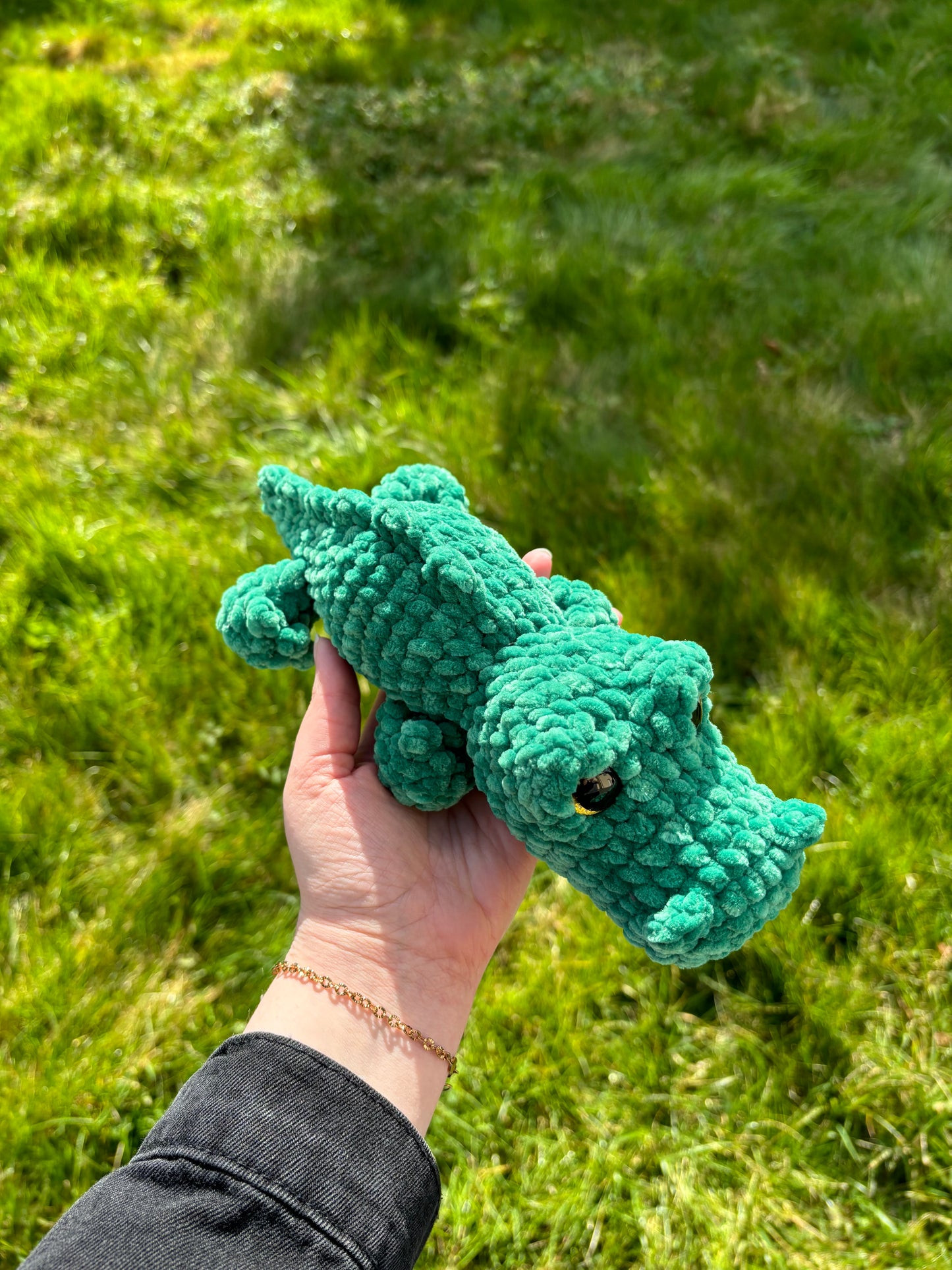 Crocodile