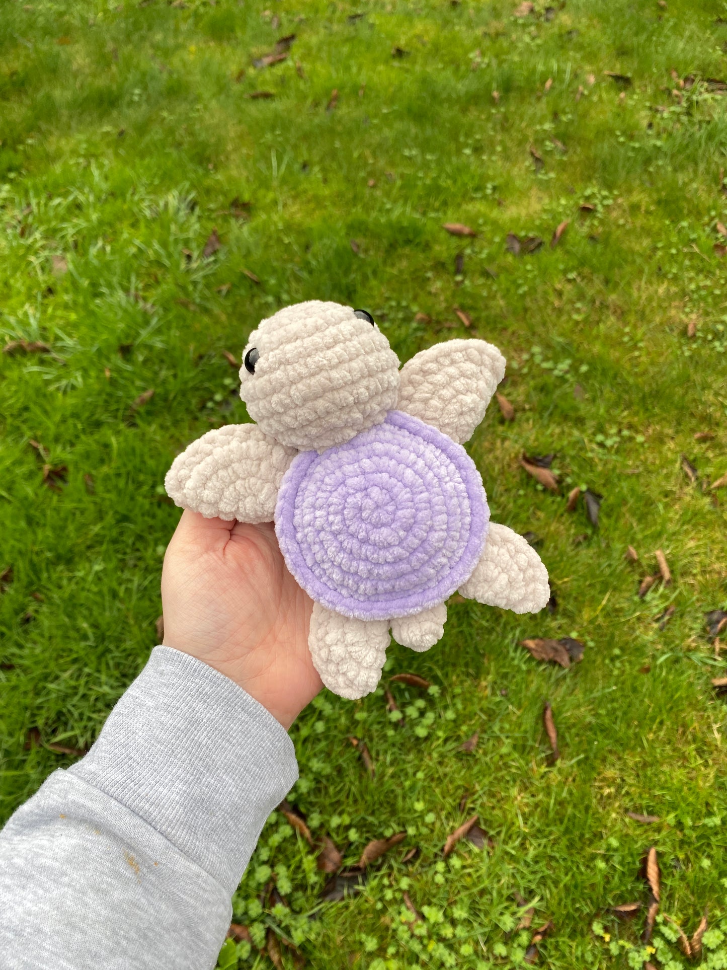 Moyenne tortue de mer