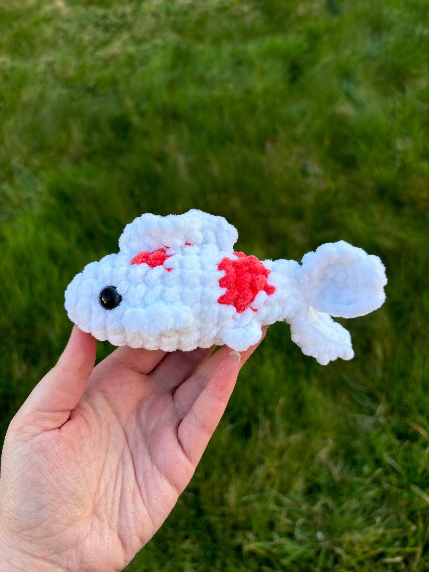 Mini carpe koï