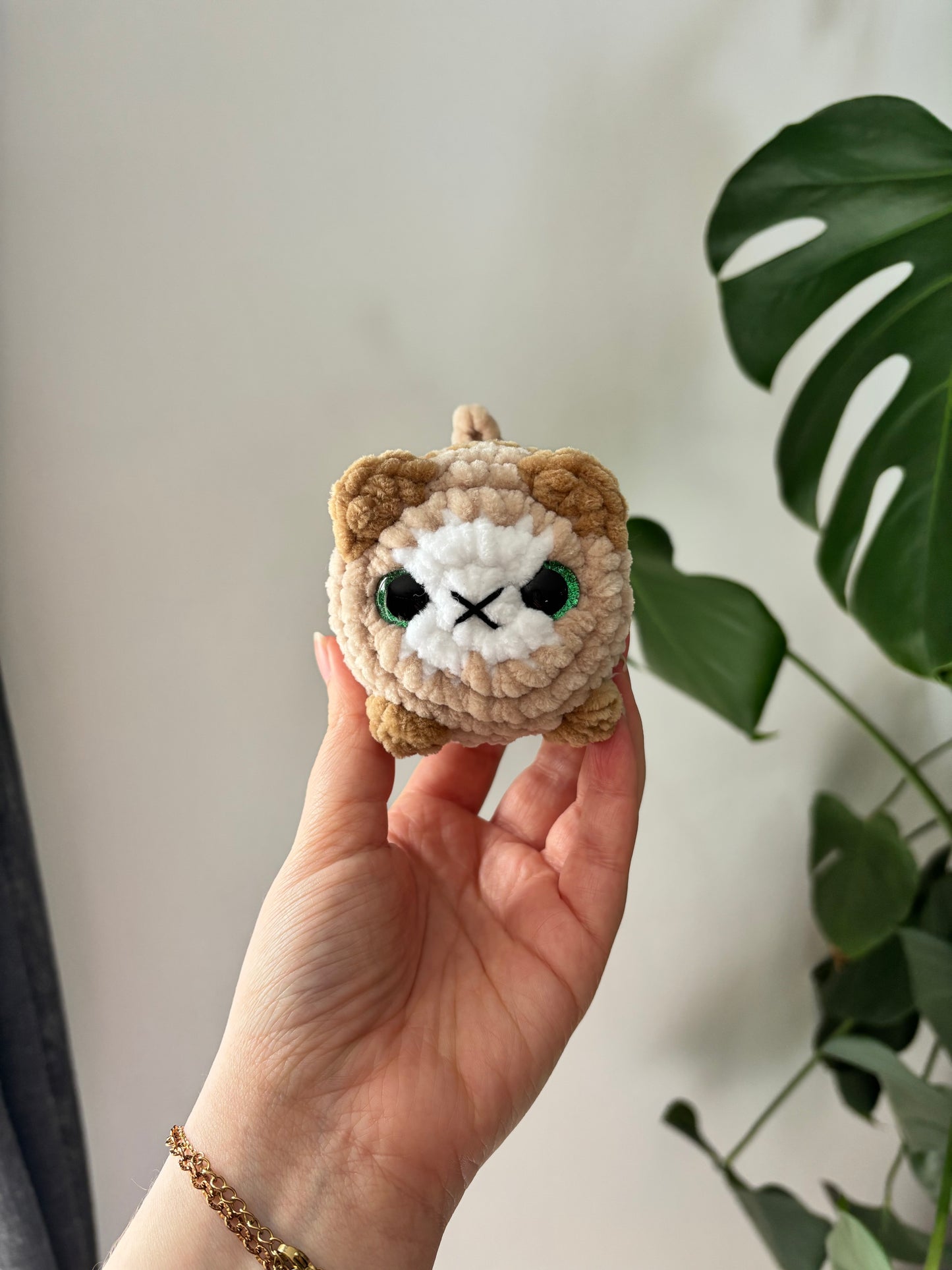 Mini chat brioche