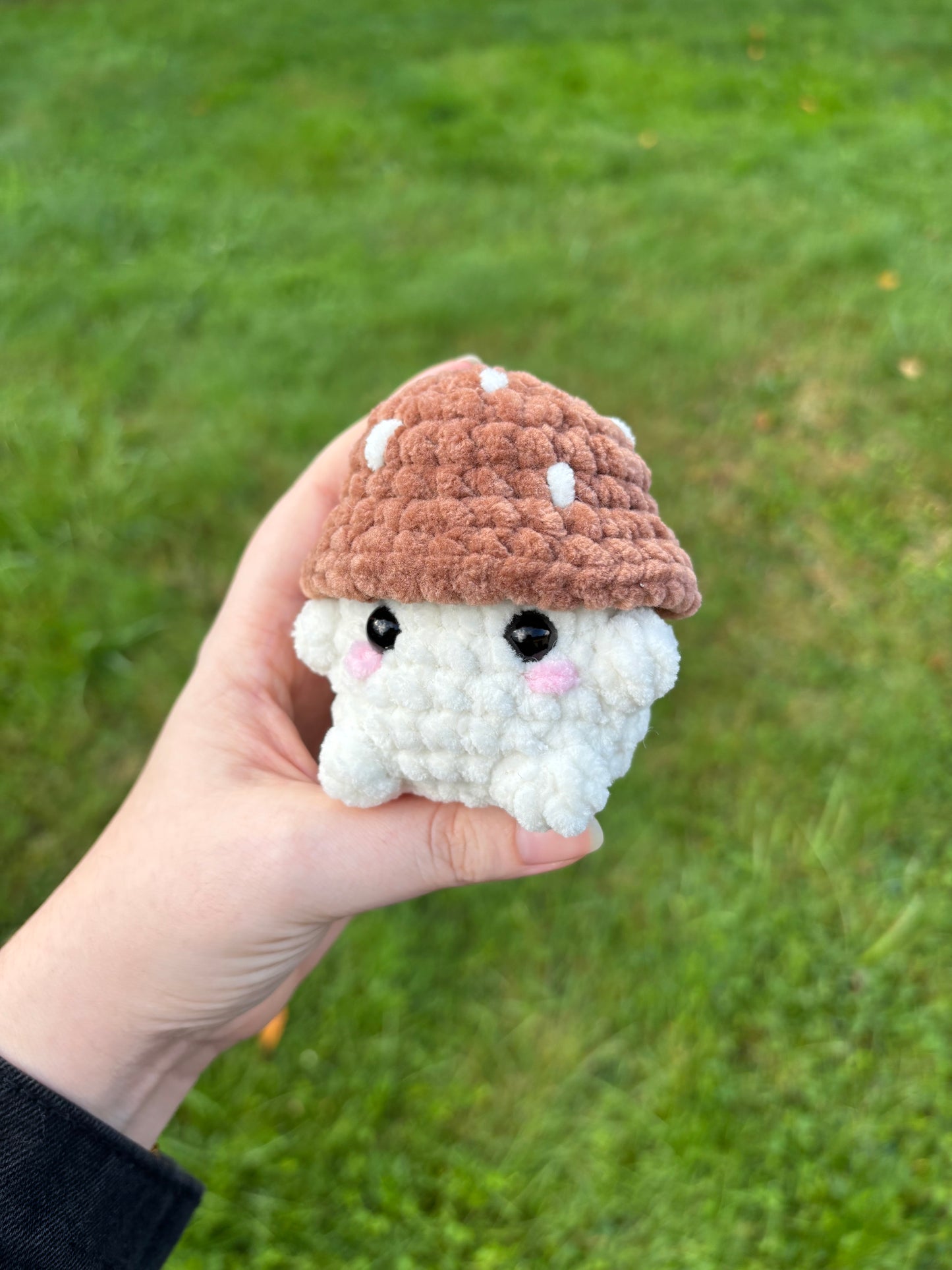 Champimignon d’automne 🍄🟫