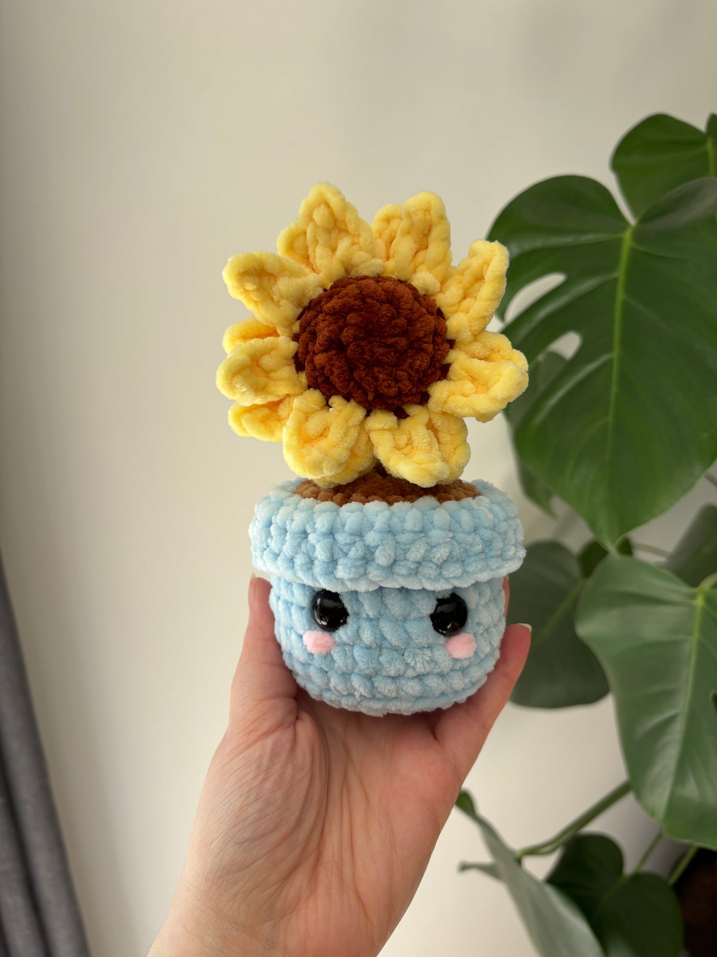 Pot tournesol