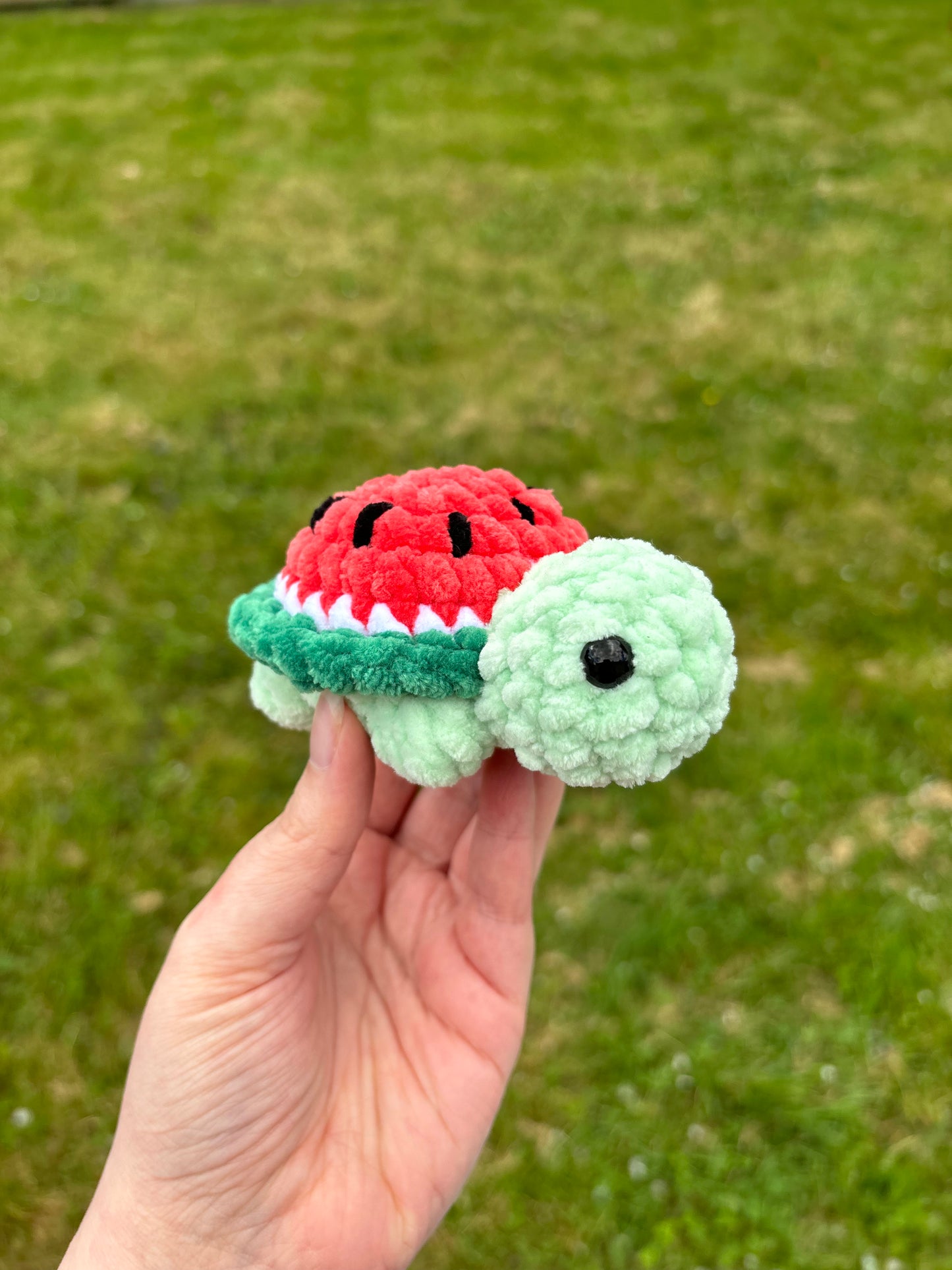Tortue fruit