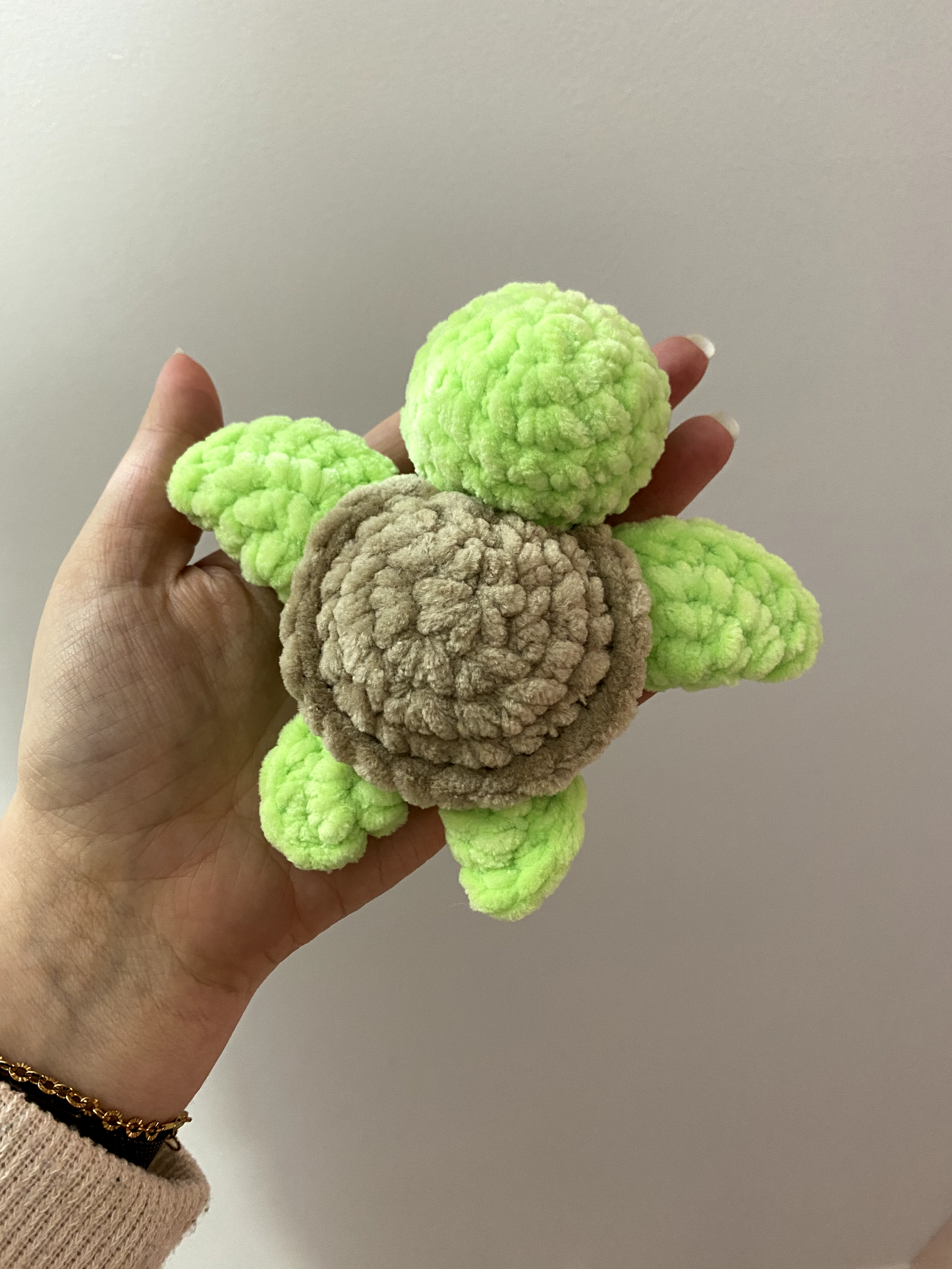 Petite tortue de mer