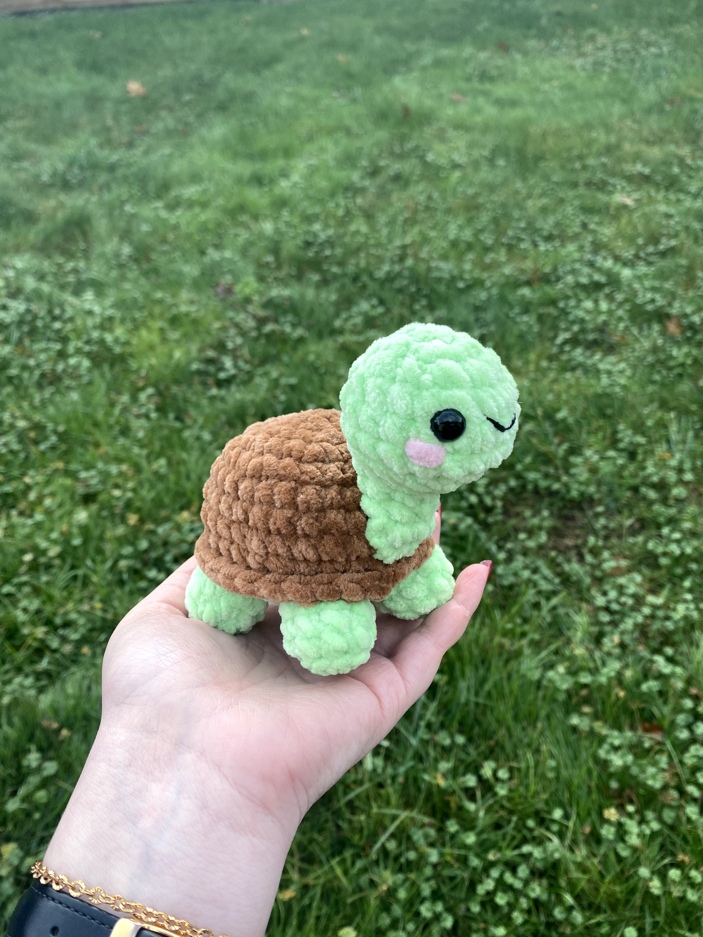 Tortue de terre