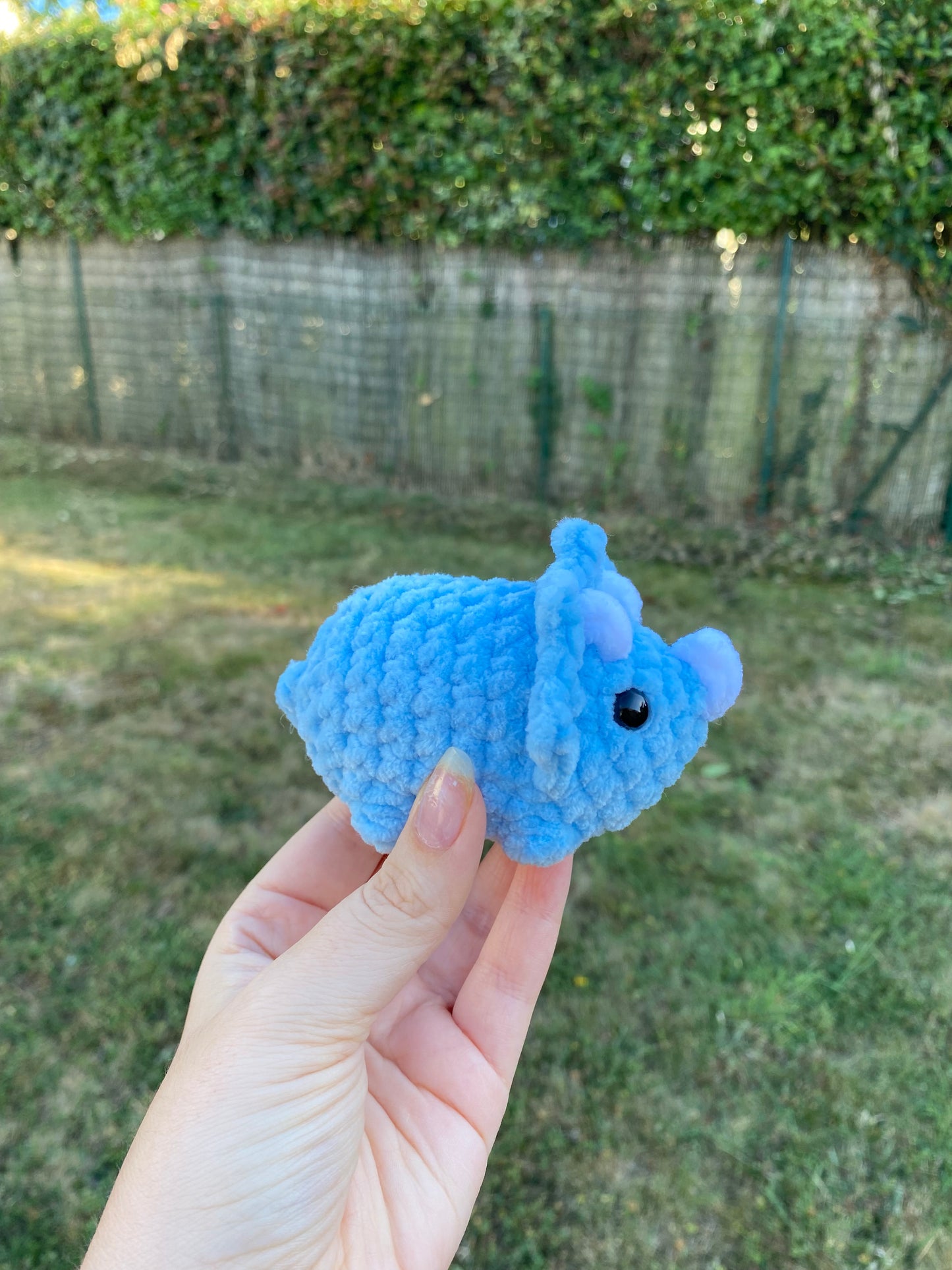 Mini tricératops