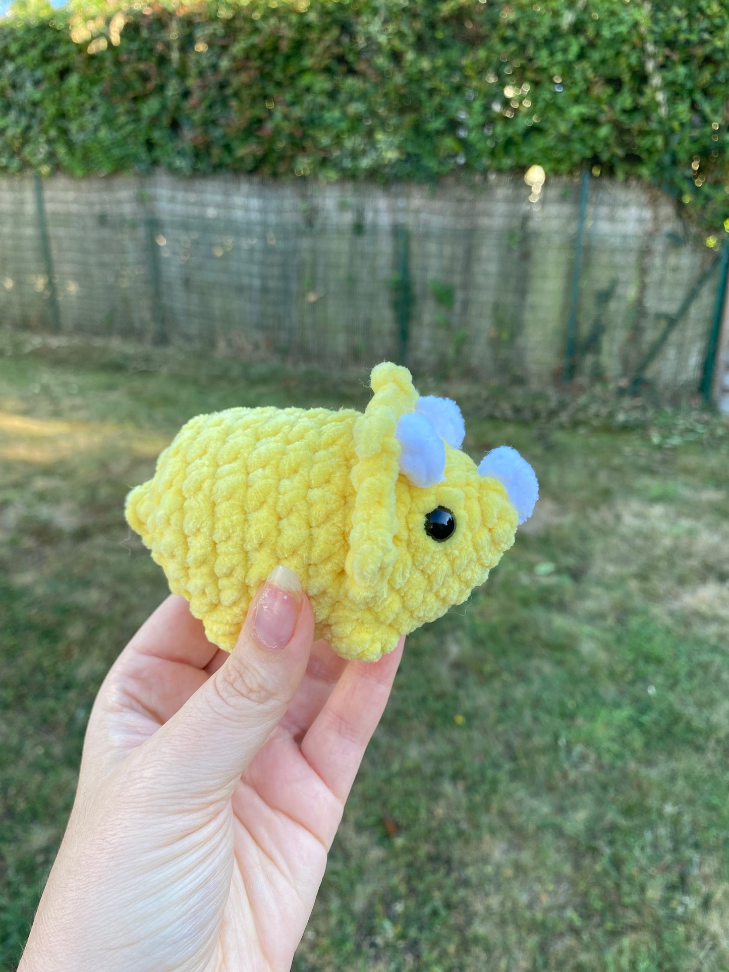 Mini tricératops