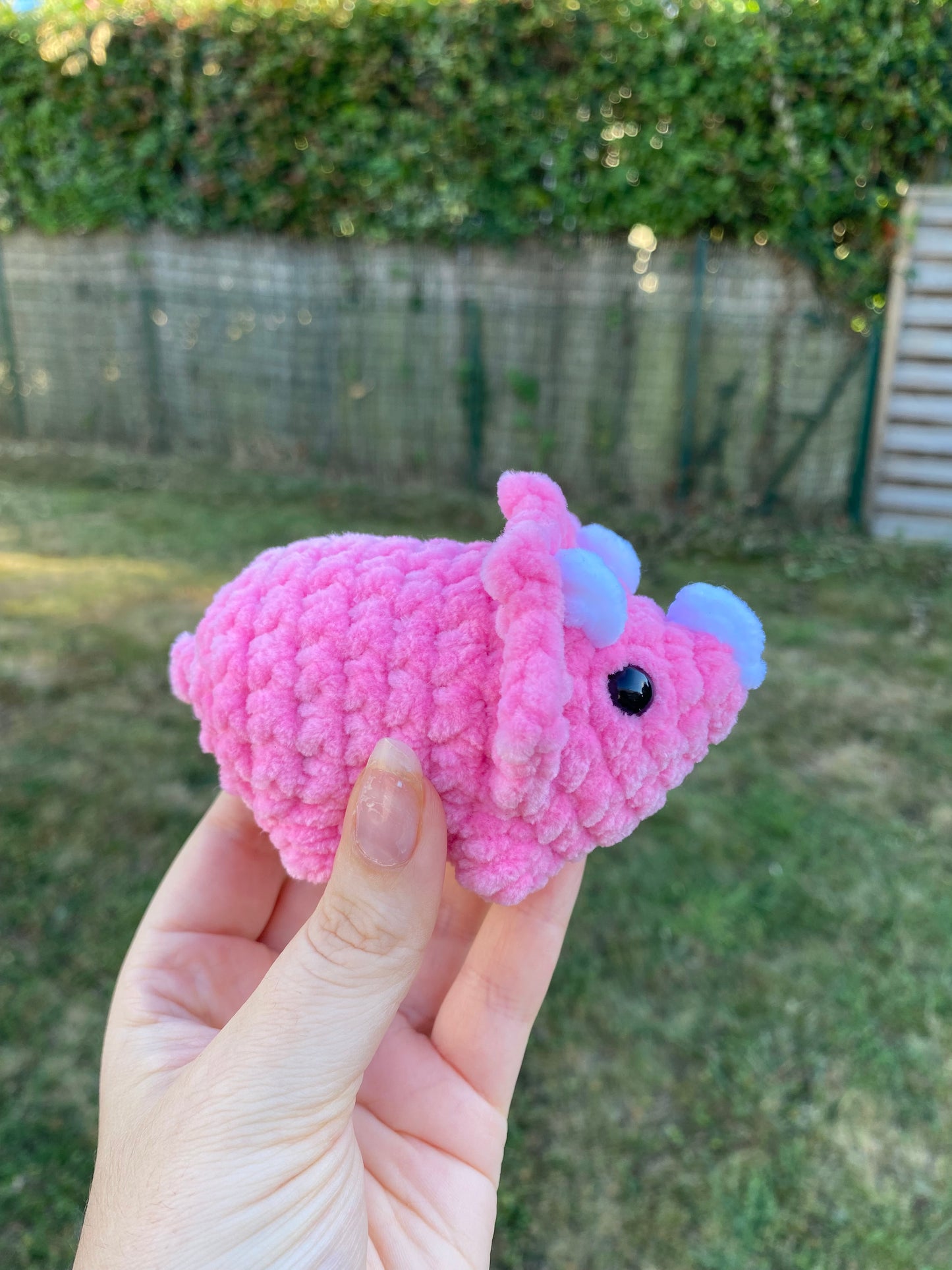 Mini tricératops