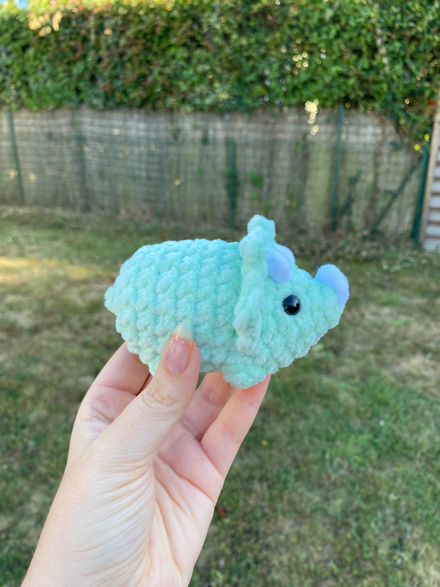 Mini tricératops