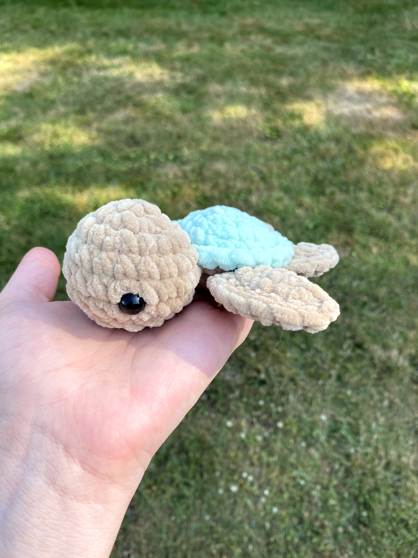 Petite tortue de mer