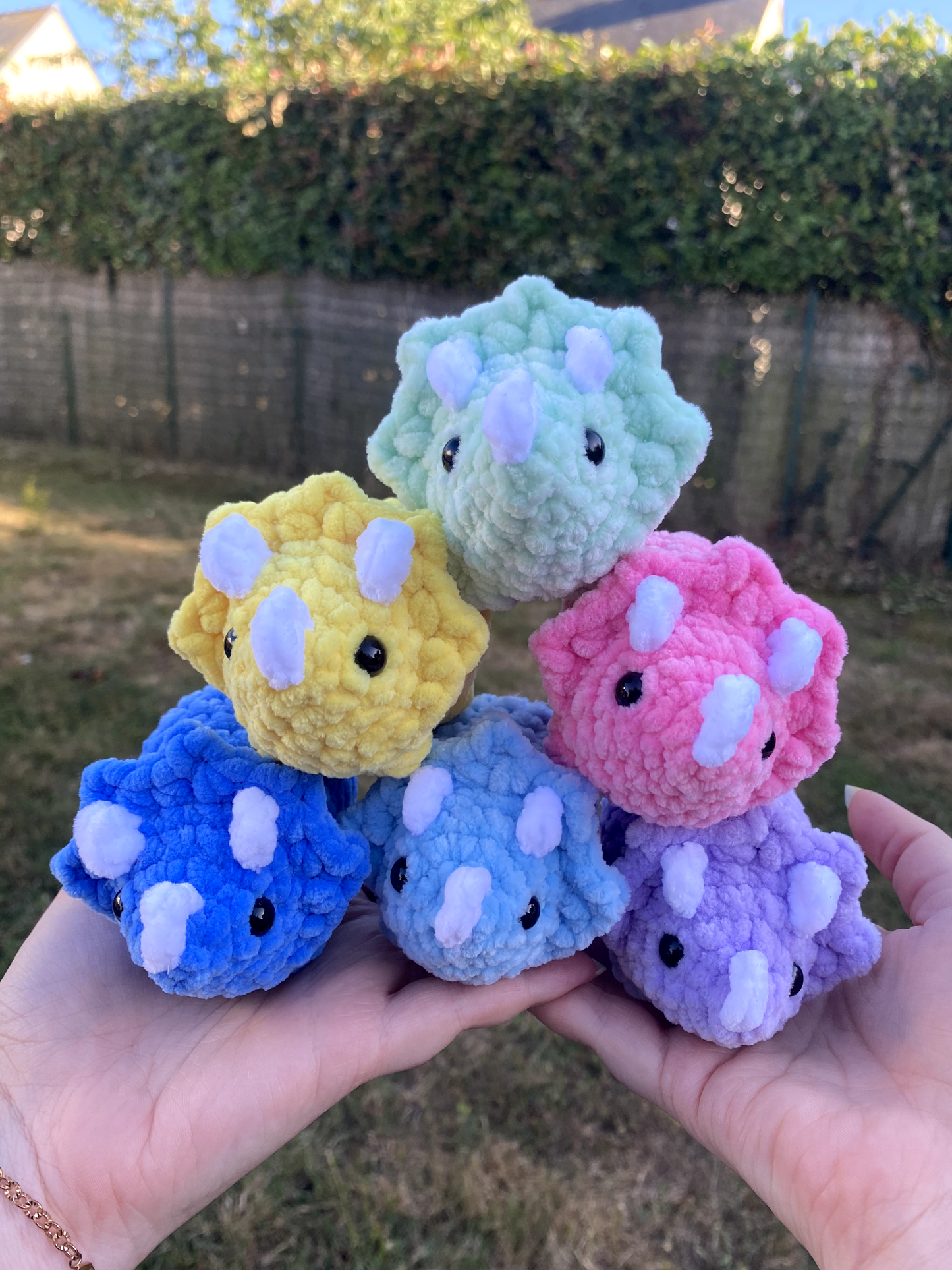 Mini tricératops
