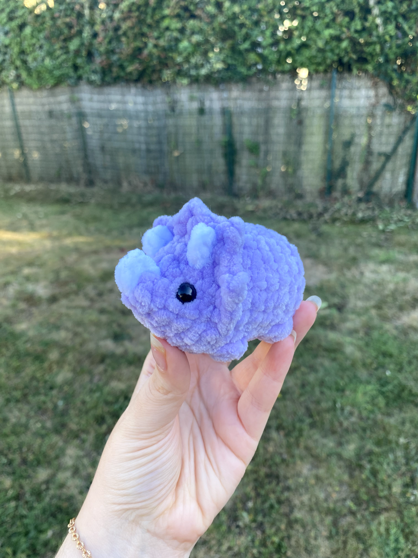 Mini tricératops