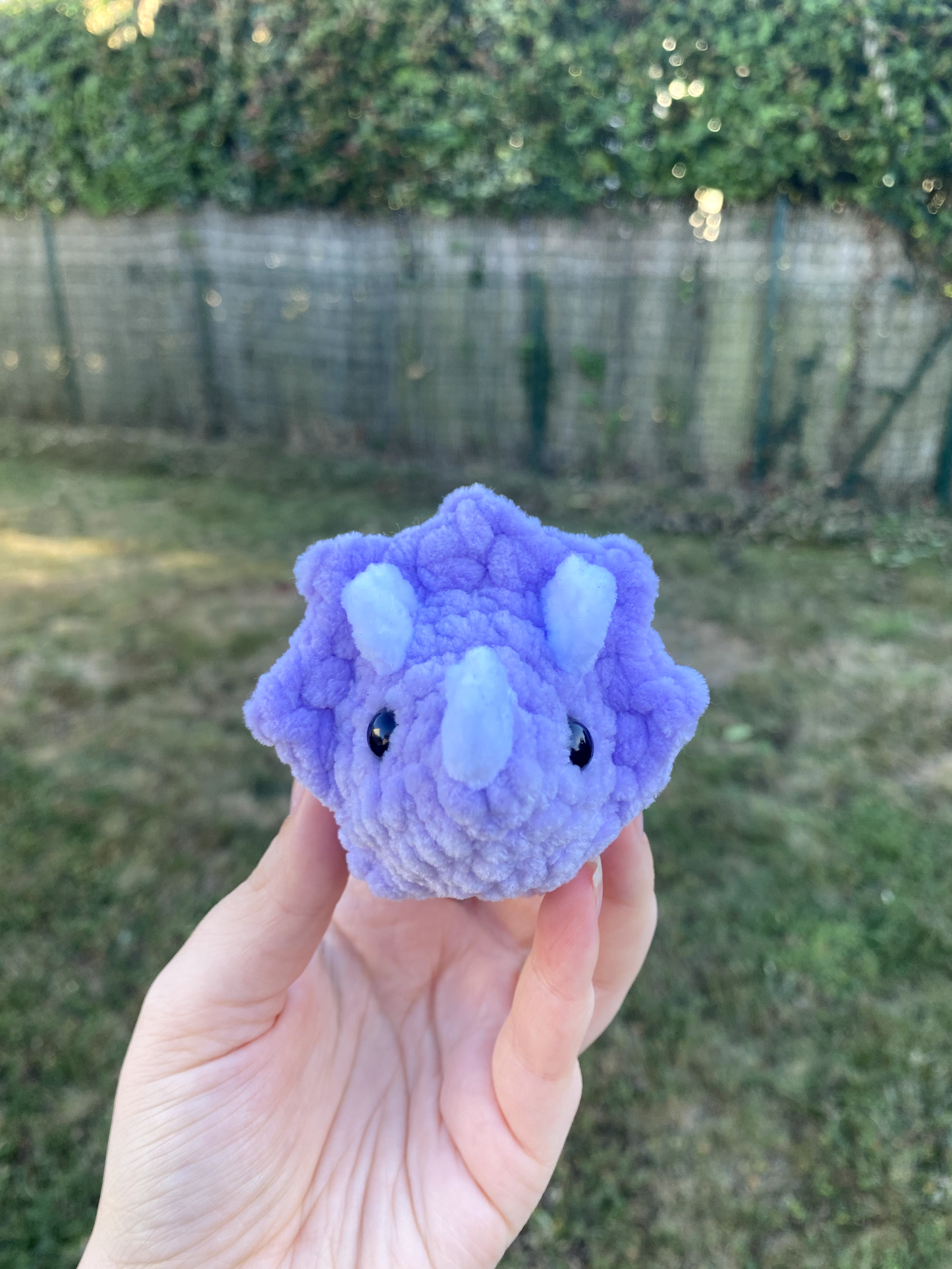 Mini tricératops