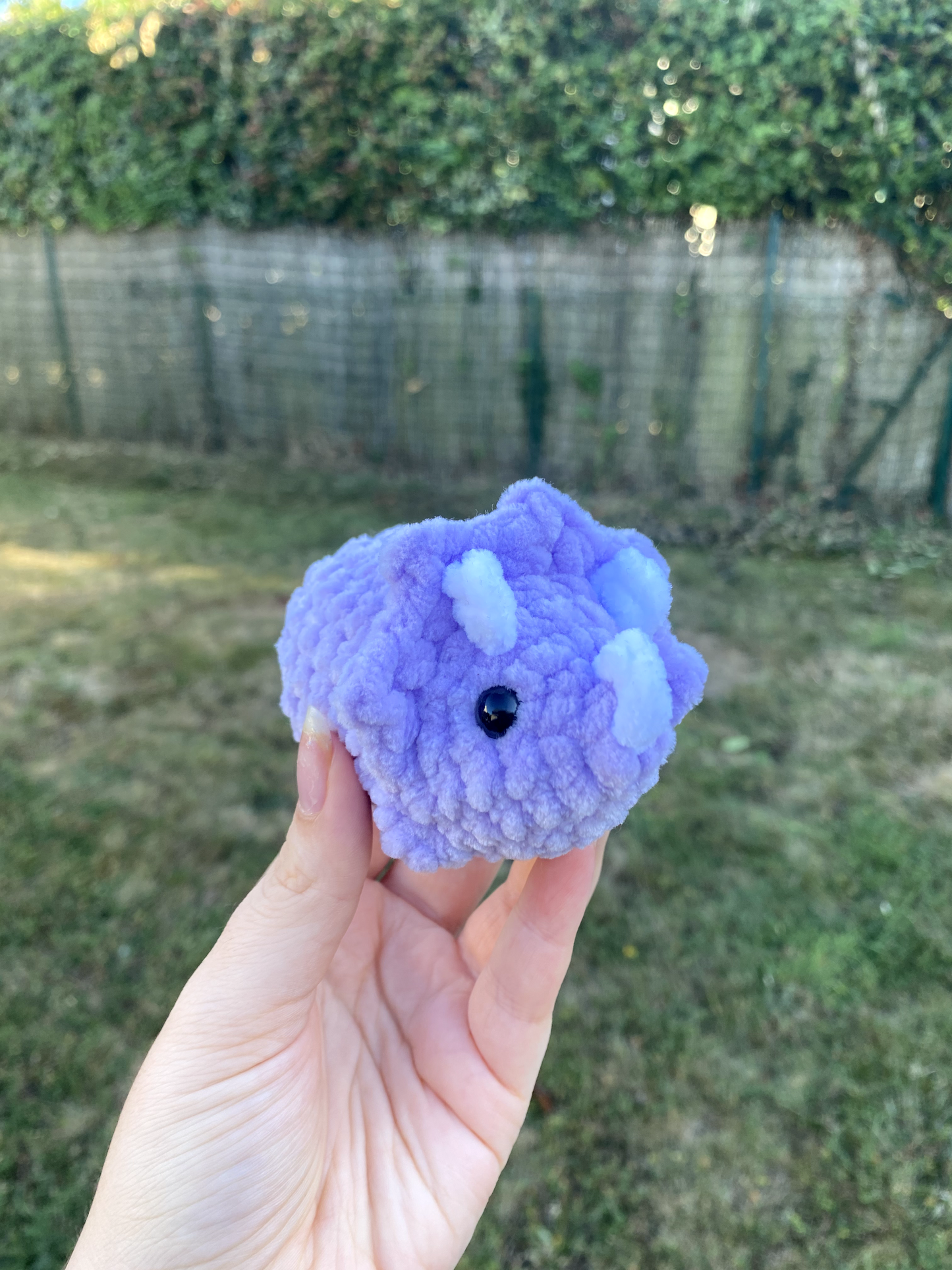 Mini tricératops