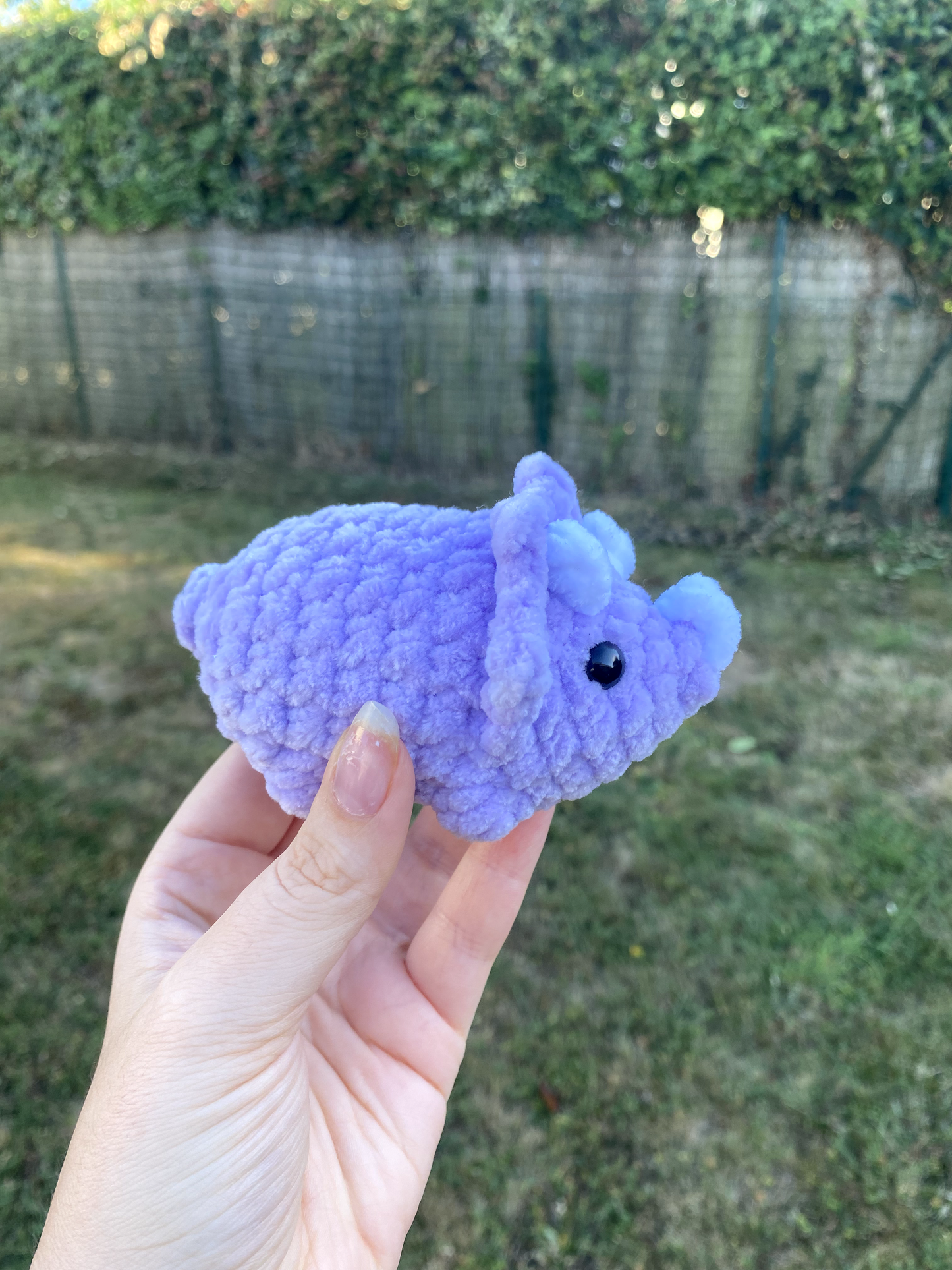 Mini tricératops