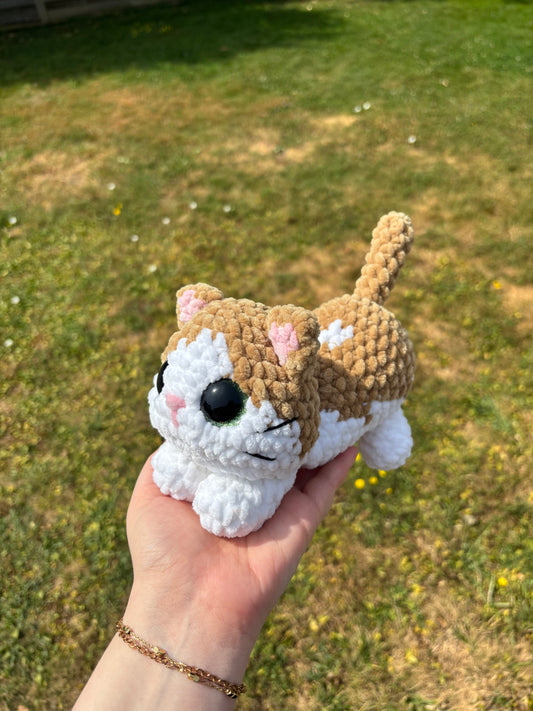 Commande chat personnalisé