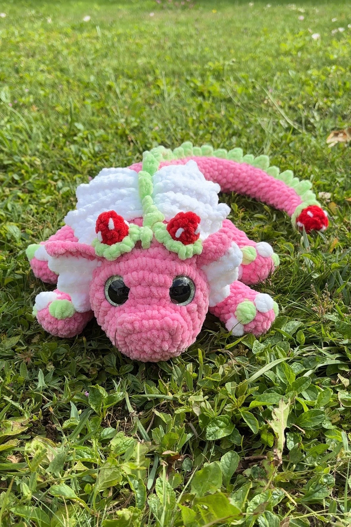 Dragon fraise 🍓