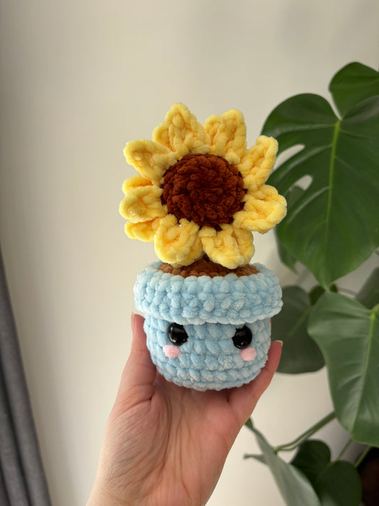 Pot tournesol