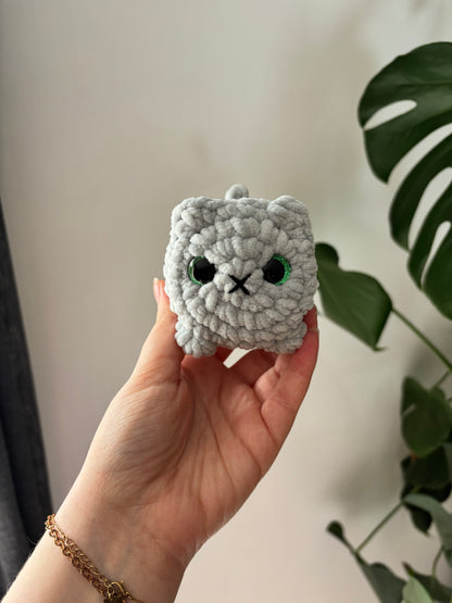 Mini chat brioche