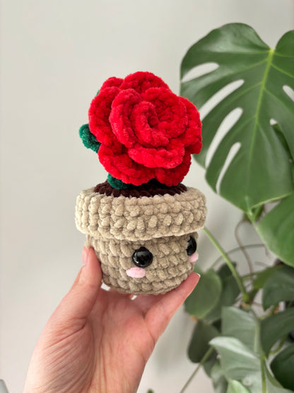 Pot rose