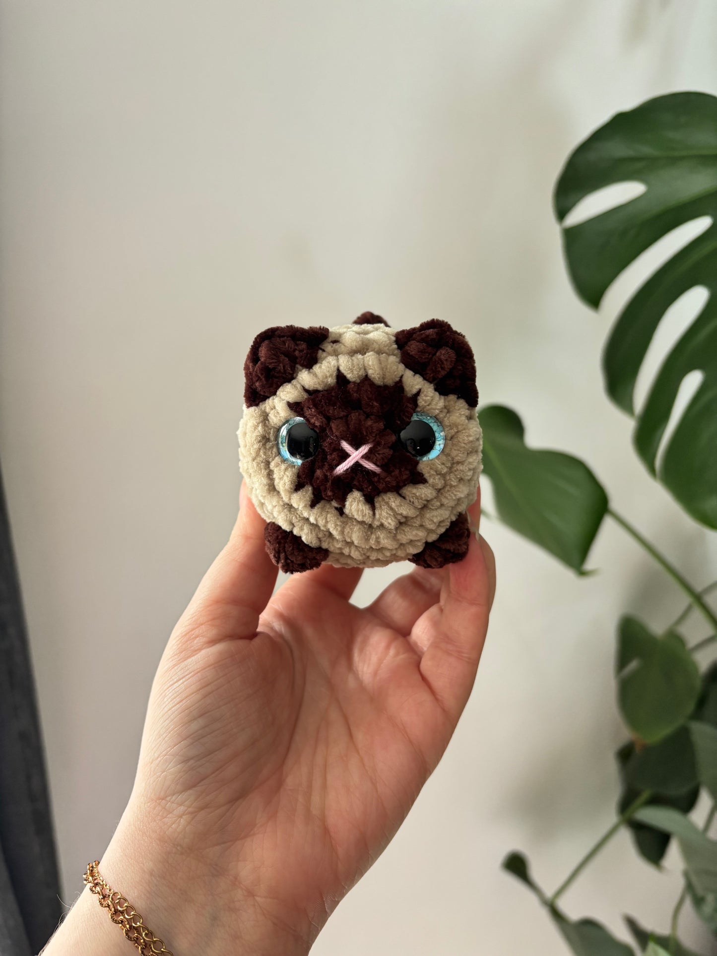 Mini chat brioche