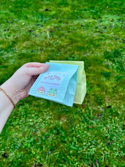 ❓sachet mystère ❓