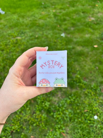 ❓Boîte mystère ❓