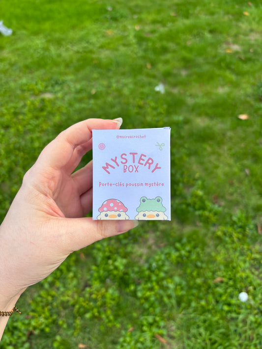 ❓Boîte mystère ❓