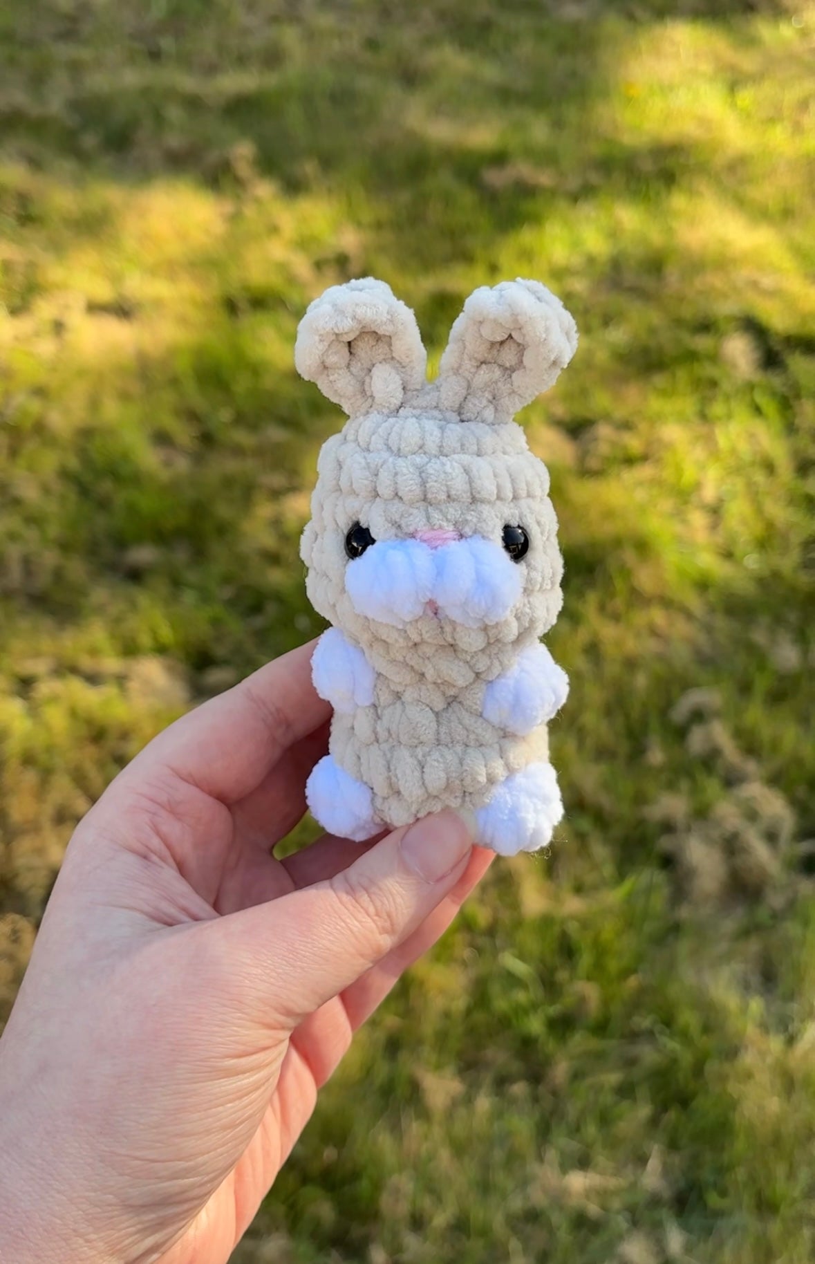 Lapin dans sa carotte 🥕