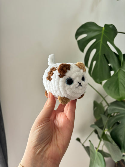 Mini chat brioche