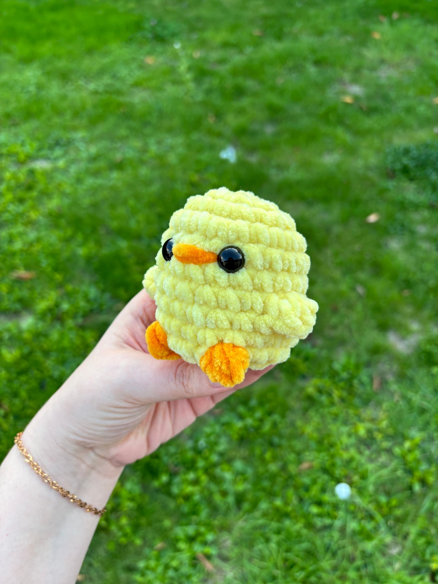 Petit poussin/canard
