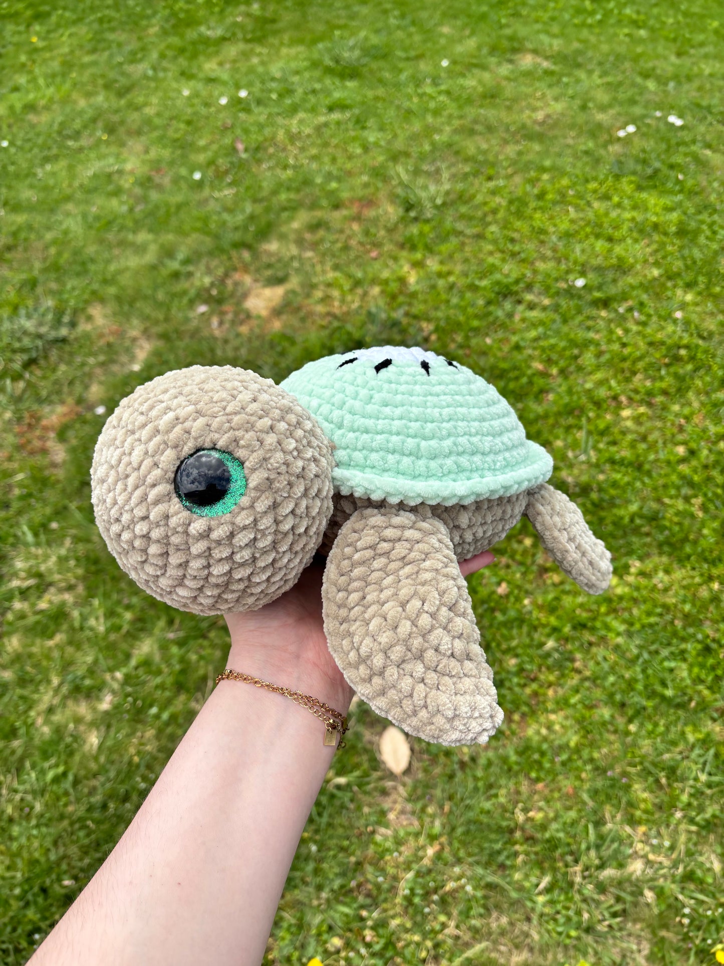 Tortue kiwi 🥝