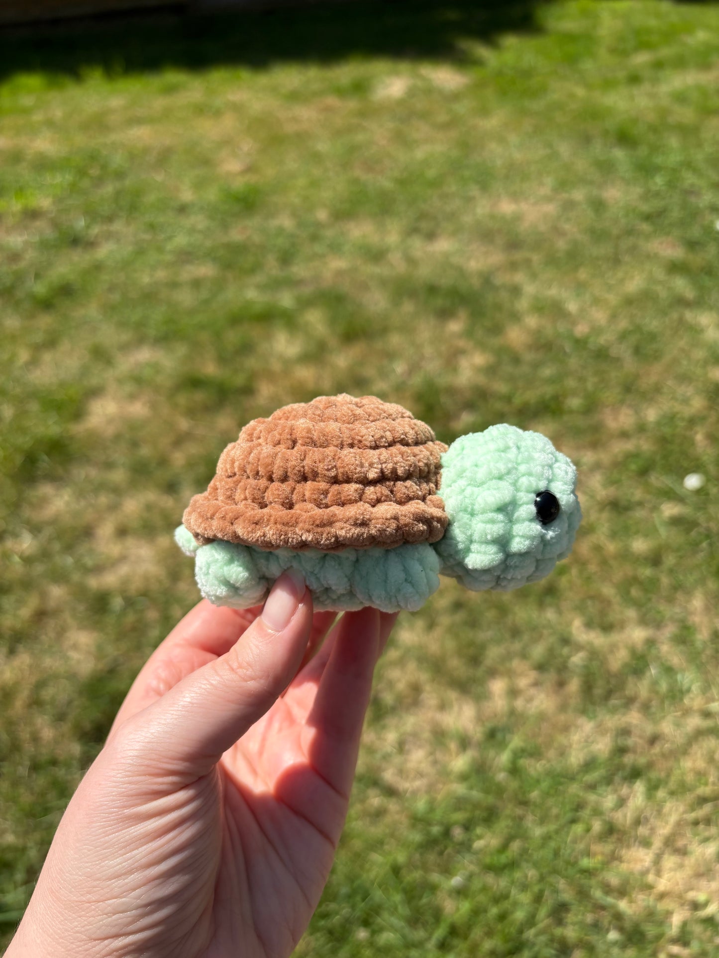 Mini tortue