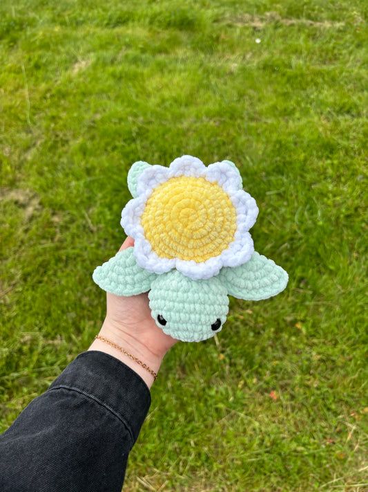 Tortue marguerite 🌼