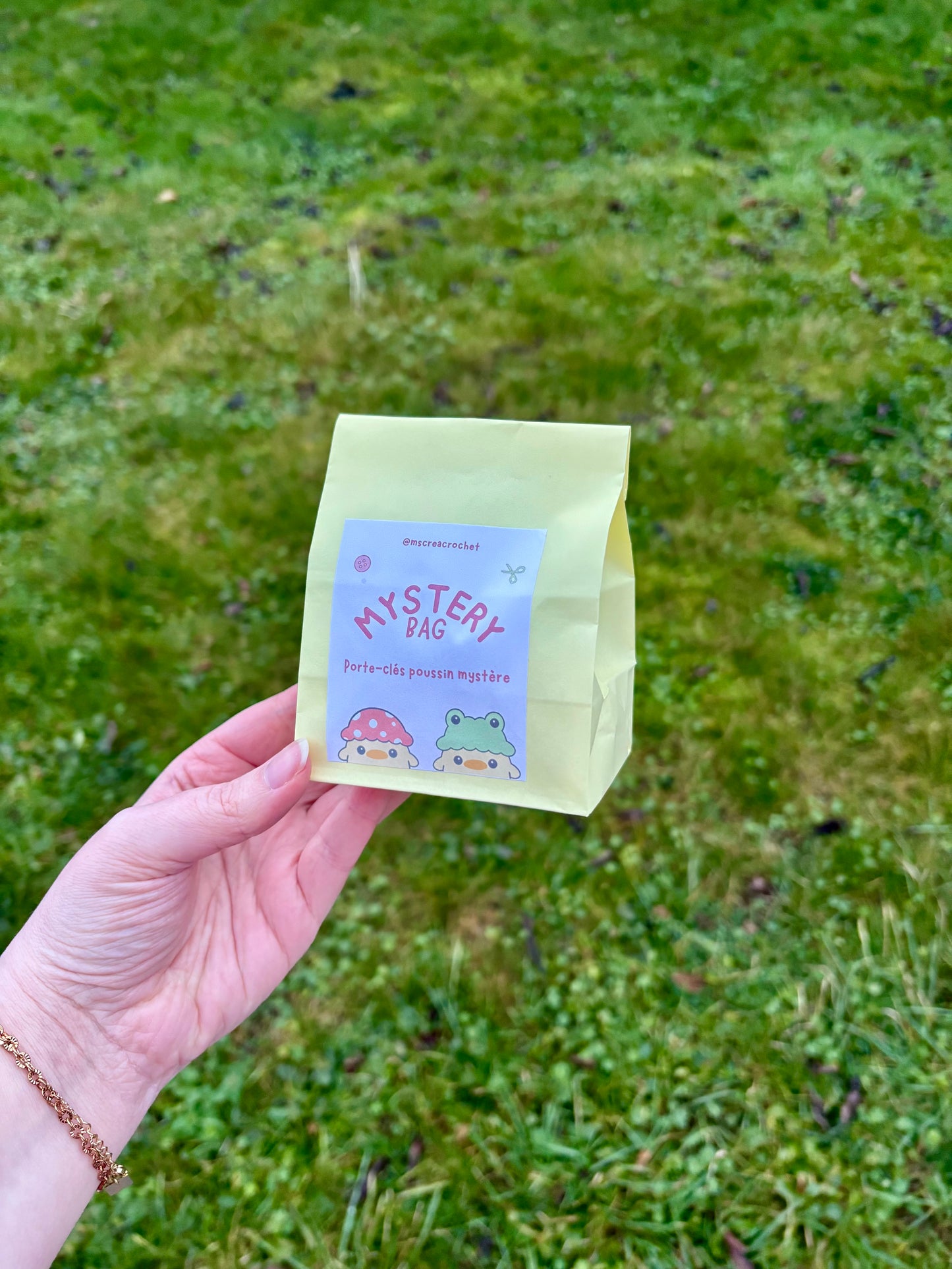 ❓sachet mystère ❓