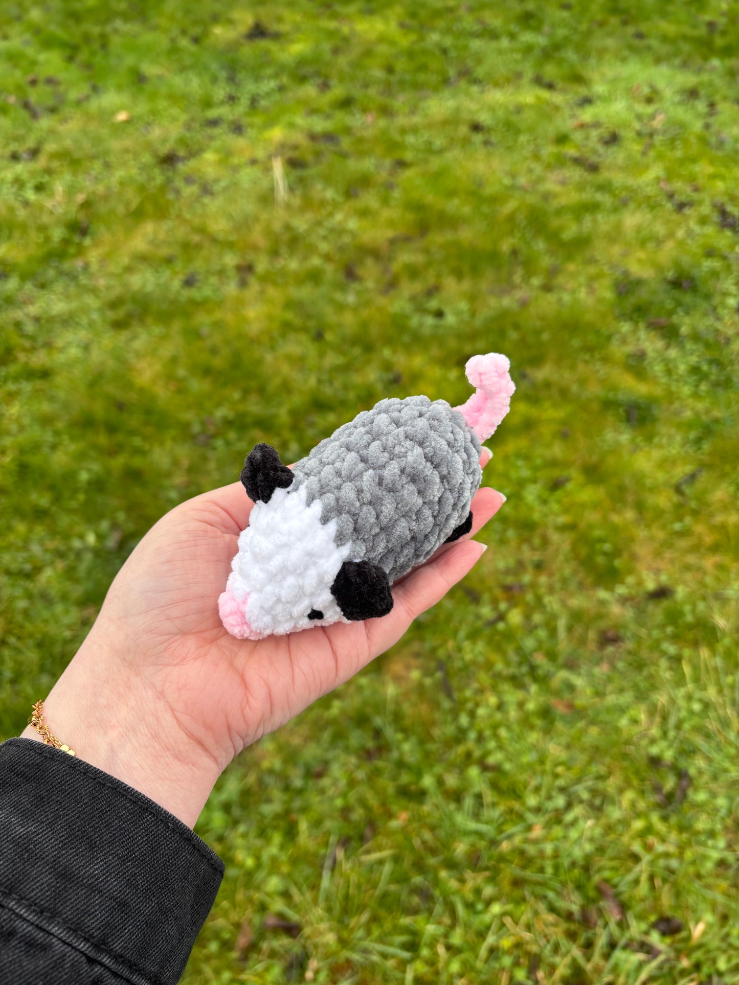 Mini opossum