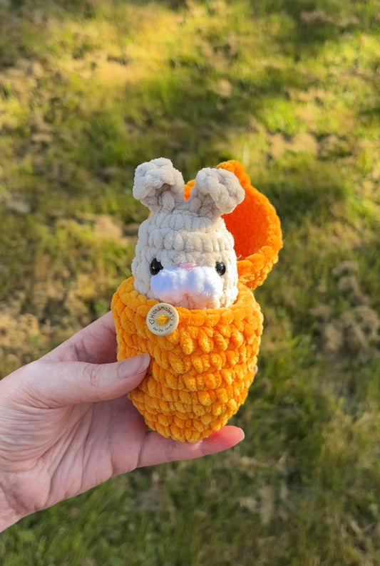 Lapin dans sa carotte 🥕