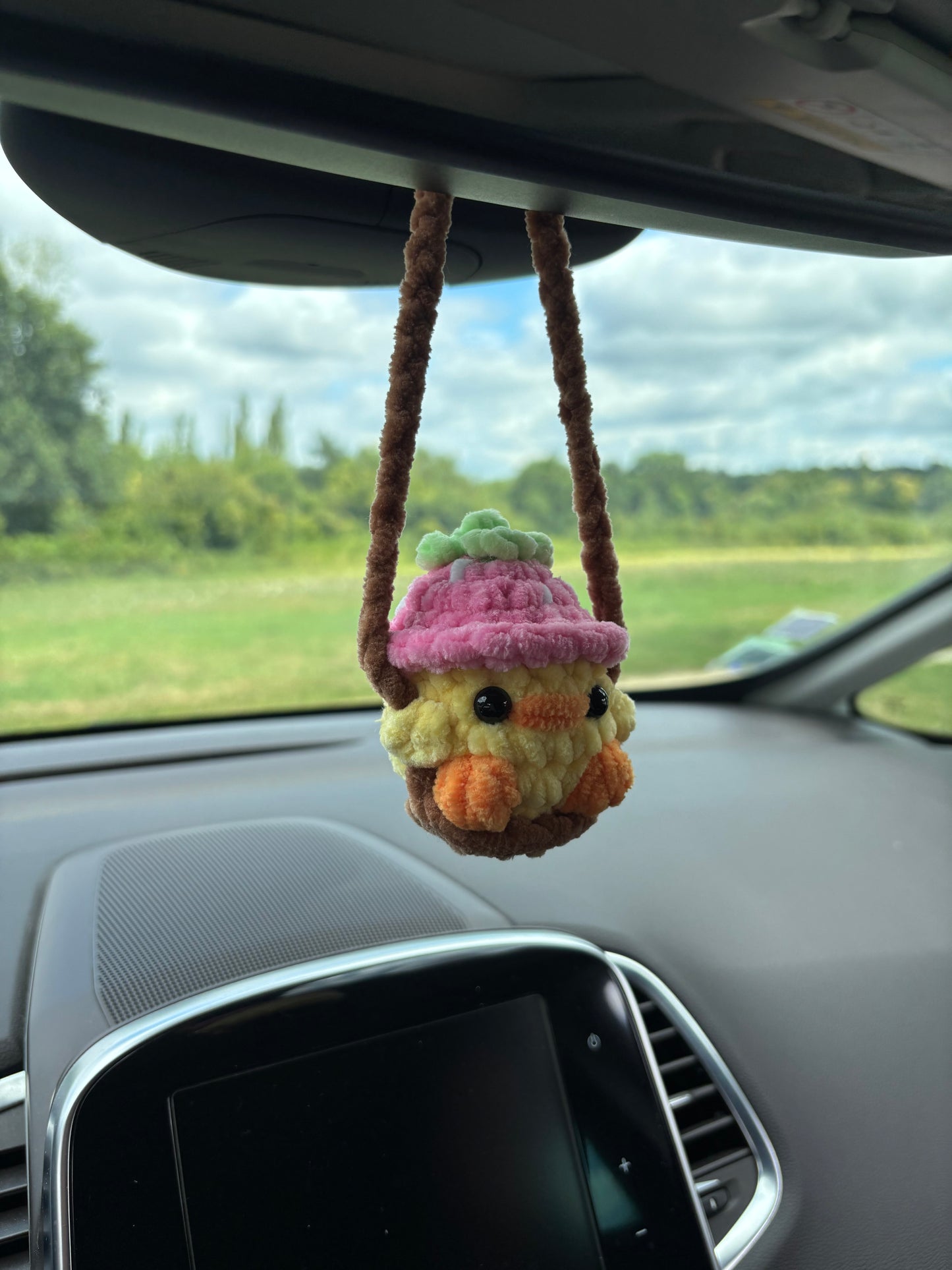 Décoration de rétro poussin fraise 🍓