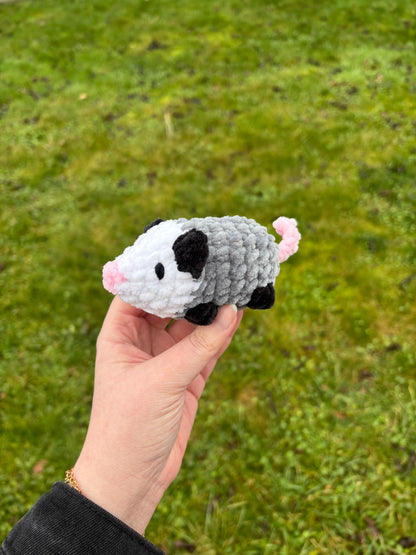 Mini opossum